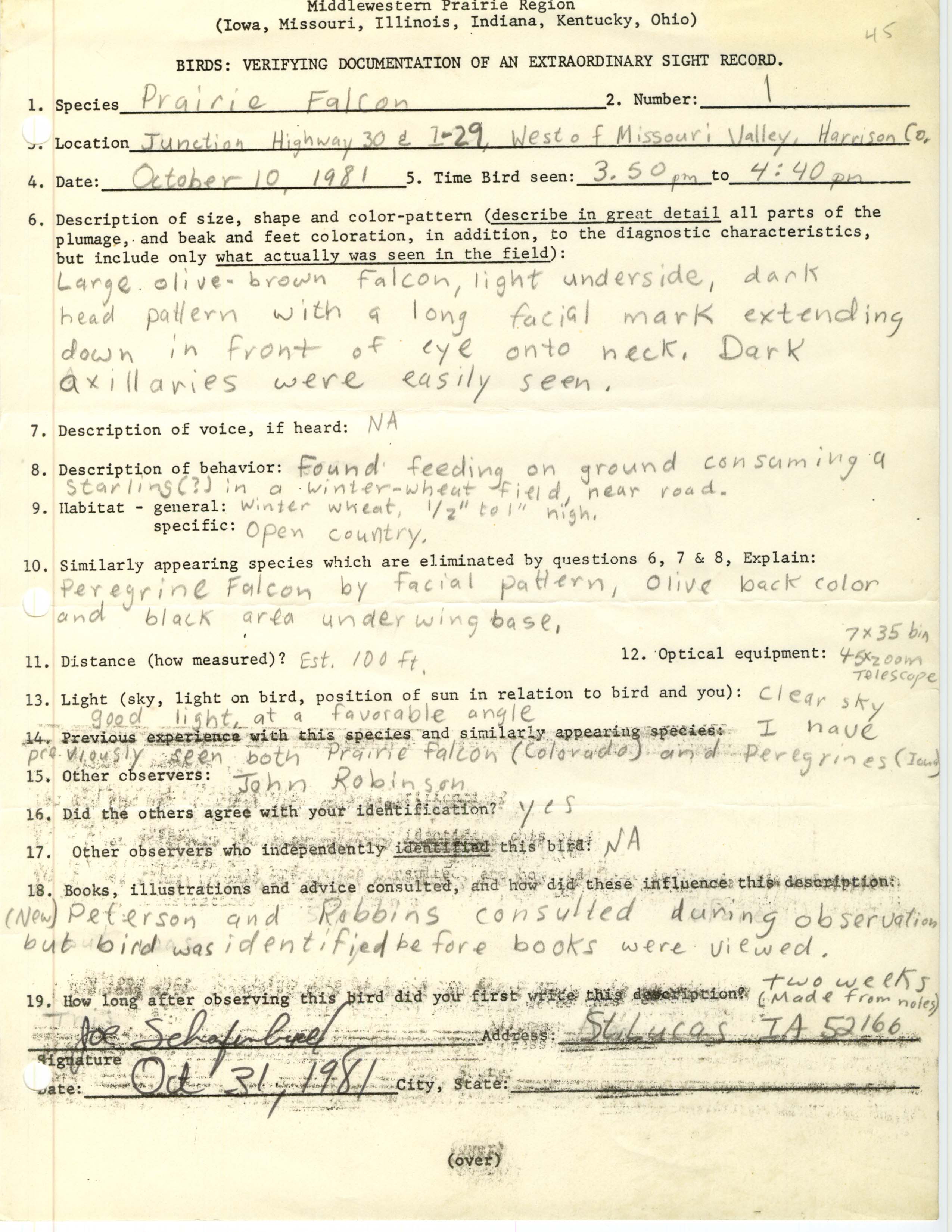 Rare bird documentation form for Prairie Falcon at junction of U.S. Route 30 and Interstate 29 in 1981