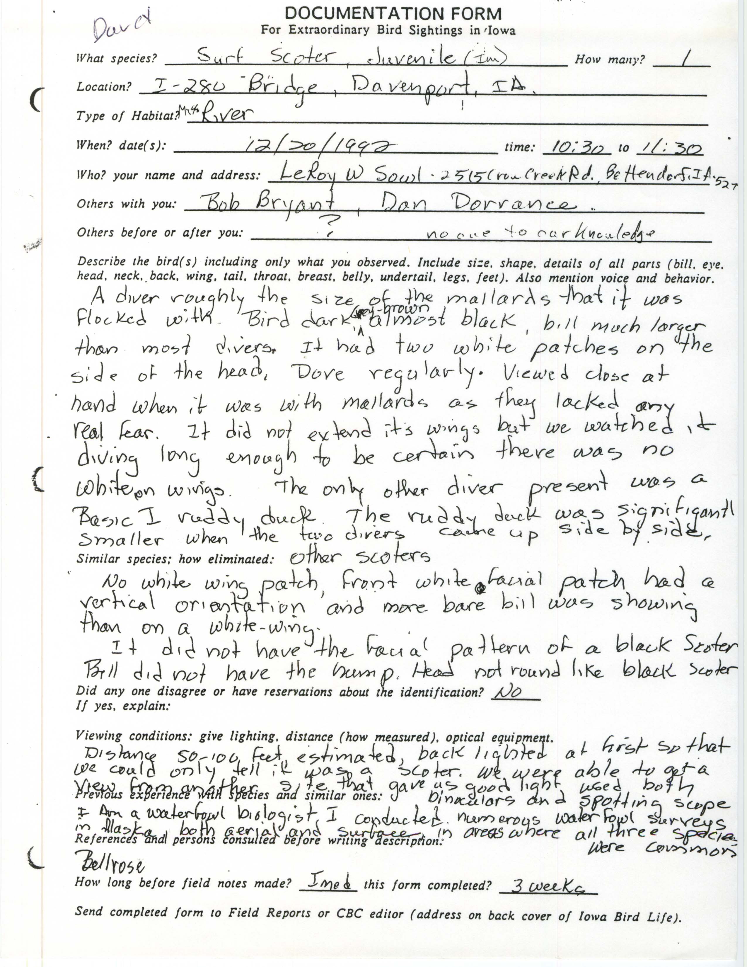 Rare bird documentation form for Surf Scoter at Davenport, 1992