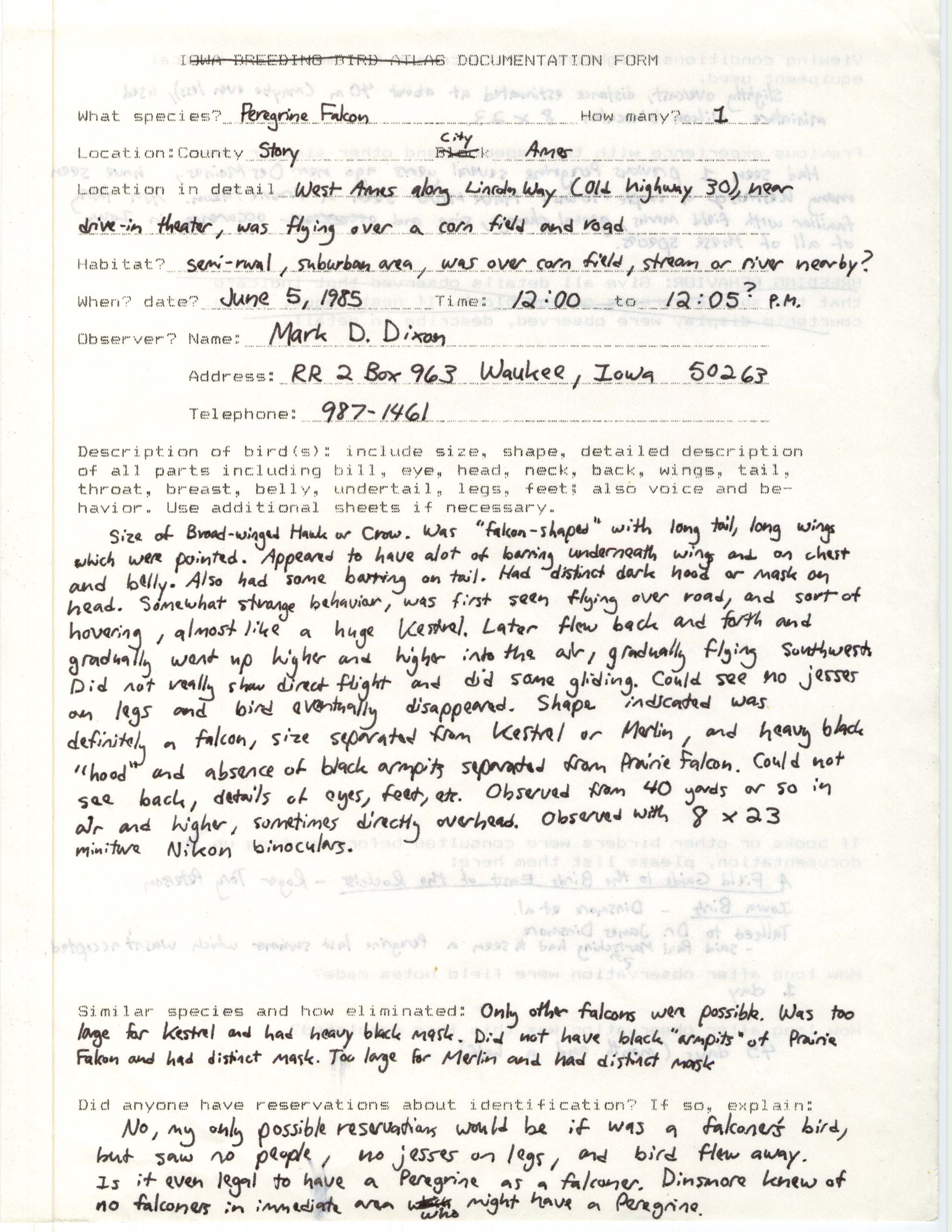 Rare bird documentation form for Peregrine Falcon at Ames, 1985