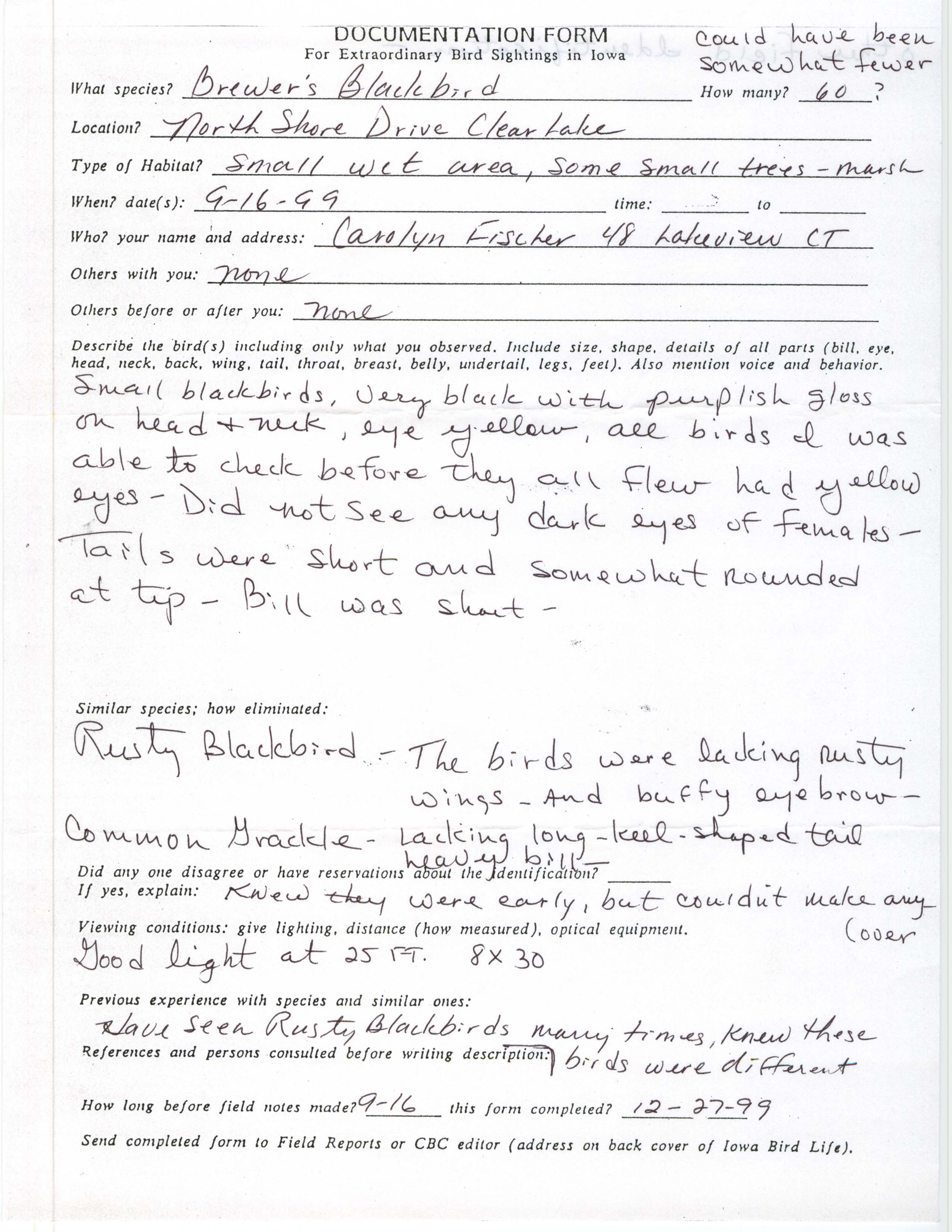 Rare bird documentation form for Brewer's Blackbird at Clear Lake, 1999