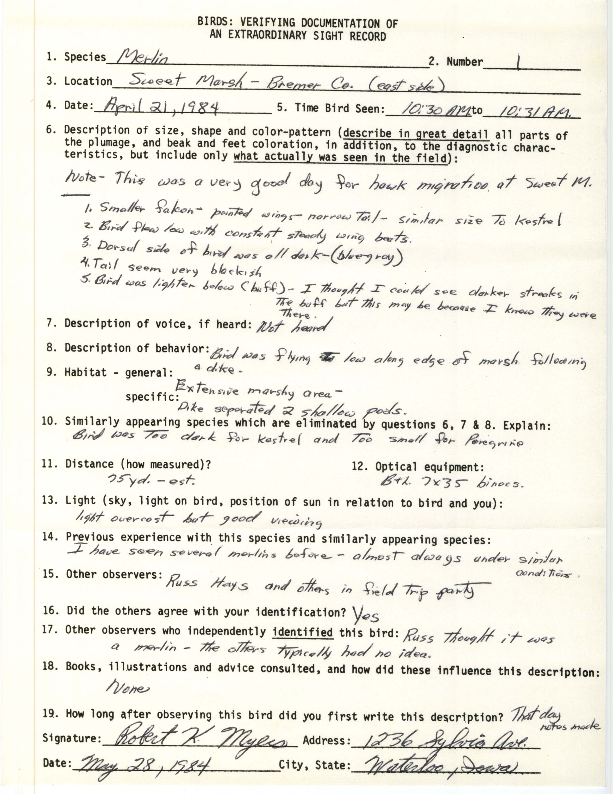 Rare bird documentation form for Merlin at Sweet Marsh, 1984