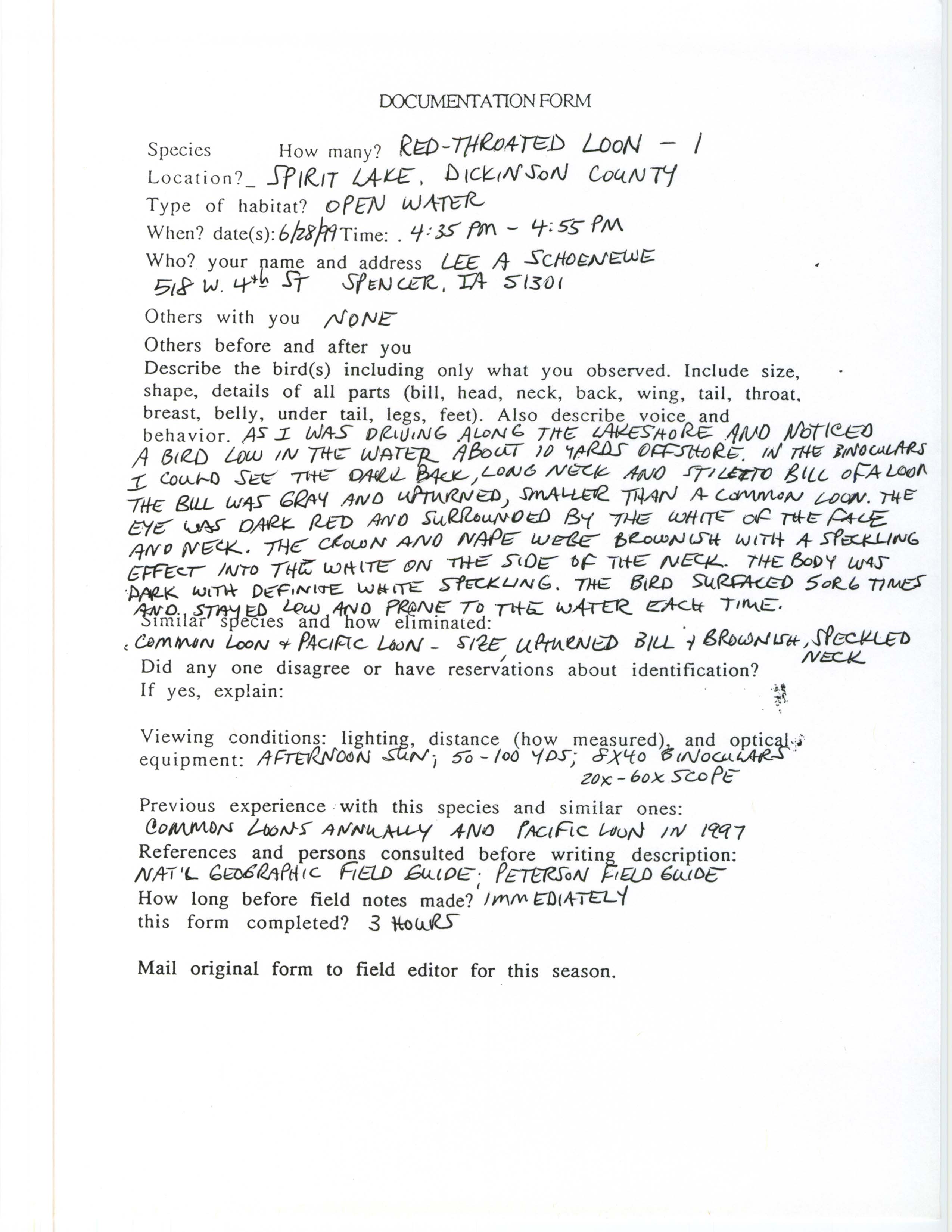 Documentation form, Red-throated Loon, June 28, 1999, Lee Schoenewe