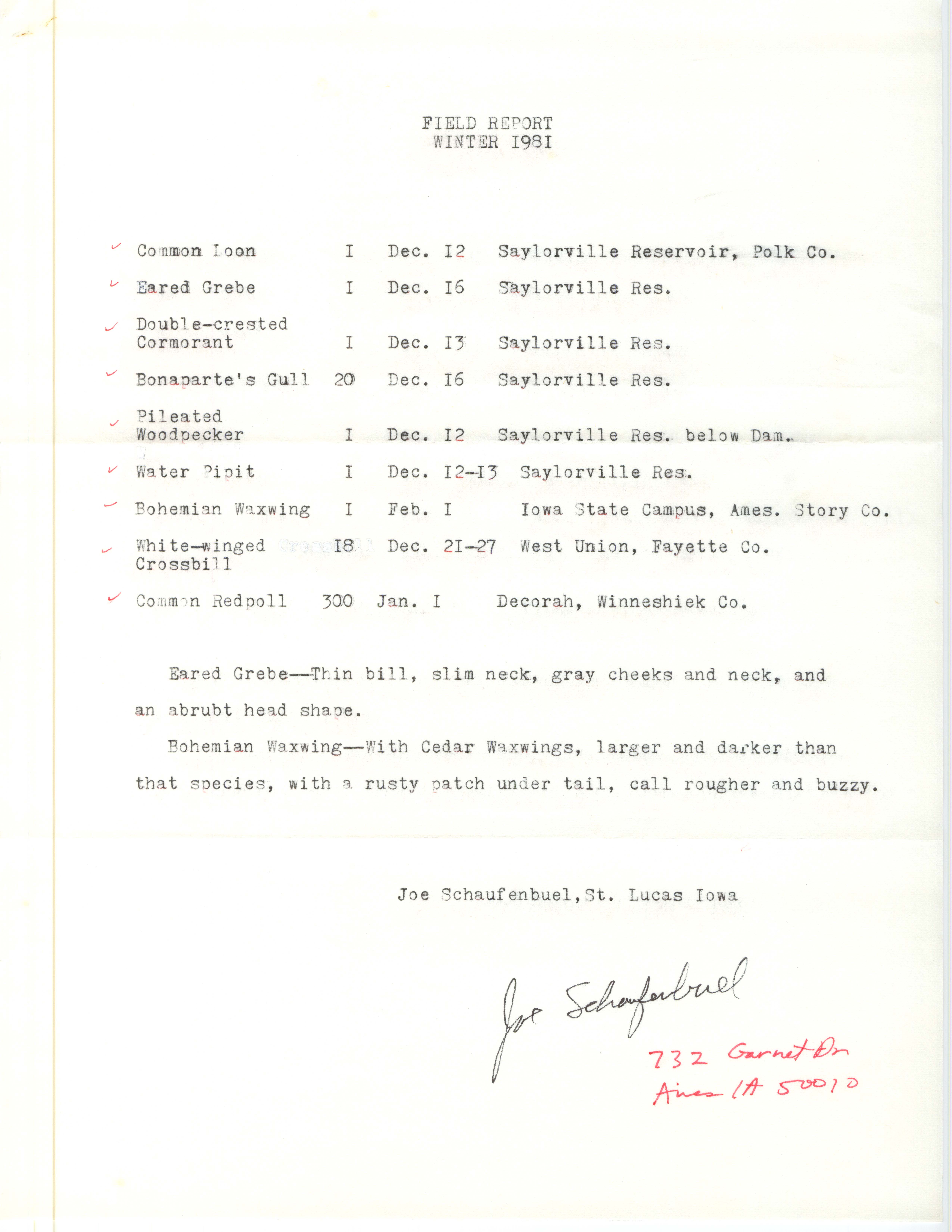 Field notes contributed by Joseph P. Schaufenbuel, winter 1981-1982