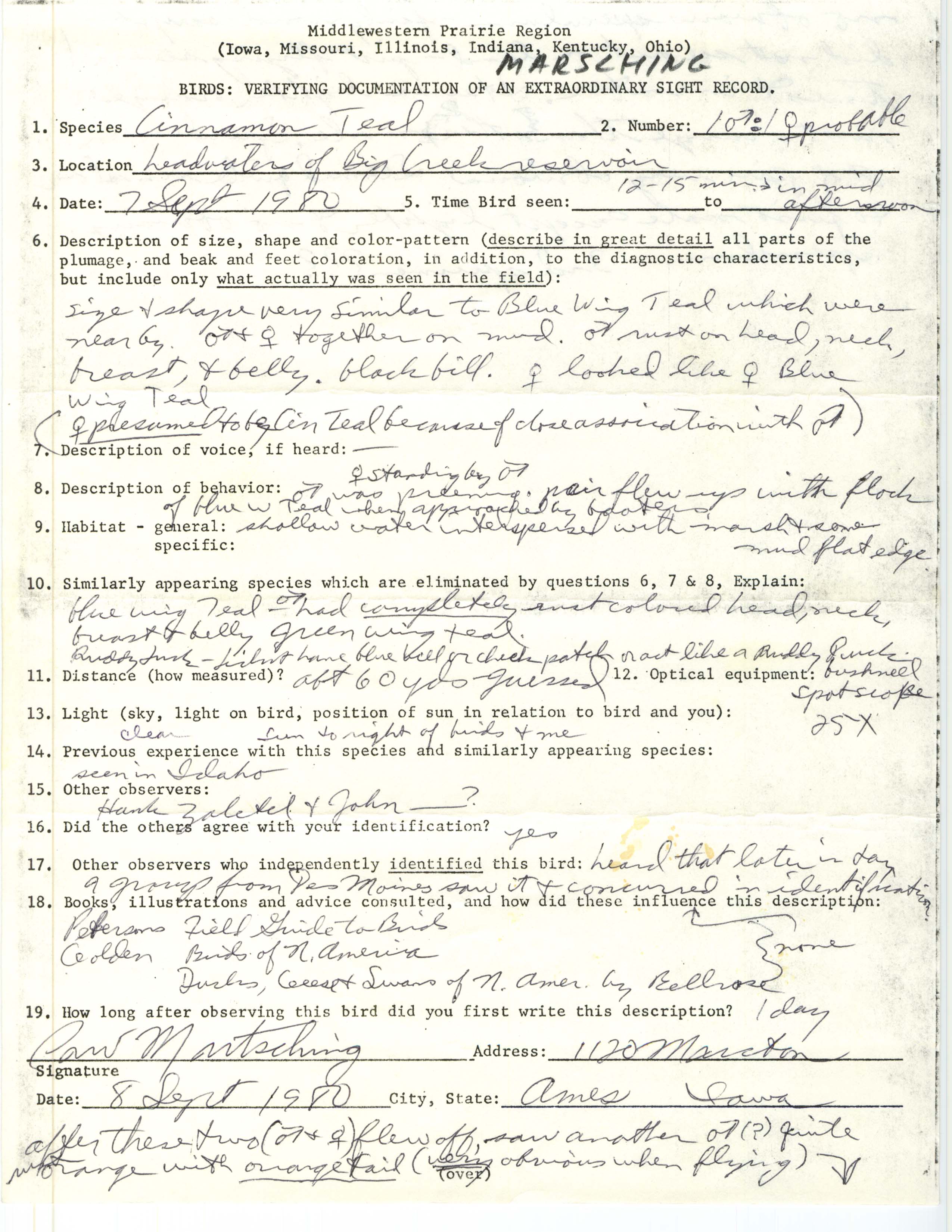 Rare bird documentation form for Cinnamon Teal at Big Creek Reservoir, 1980