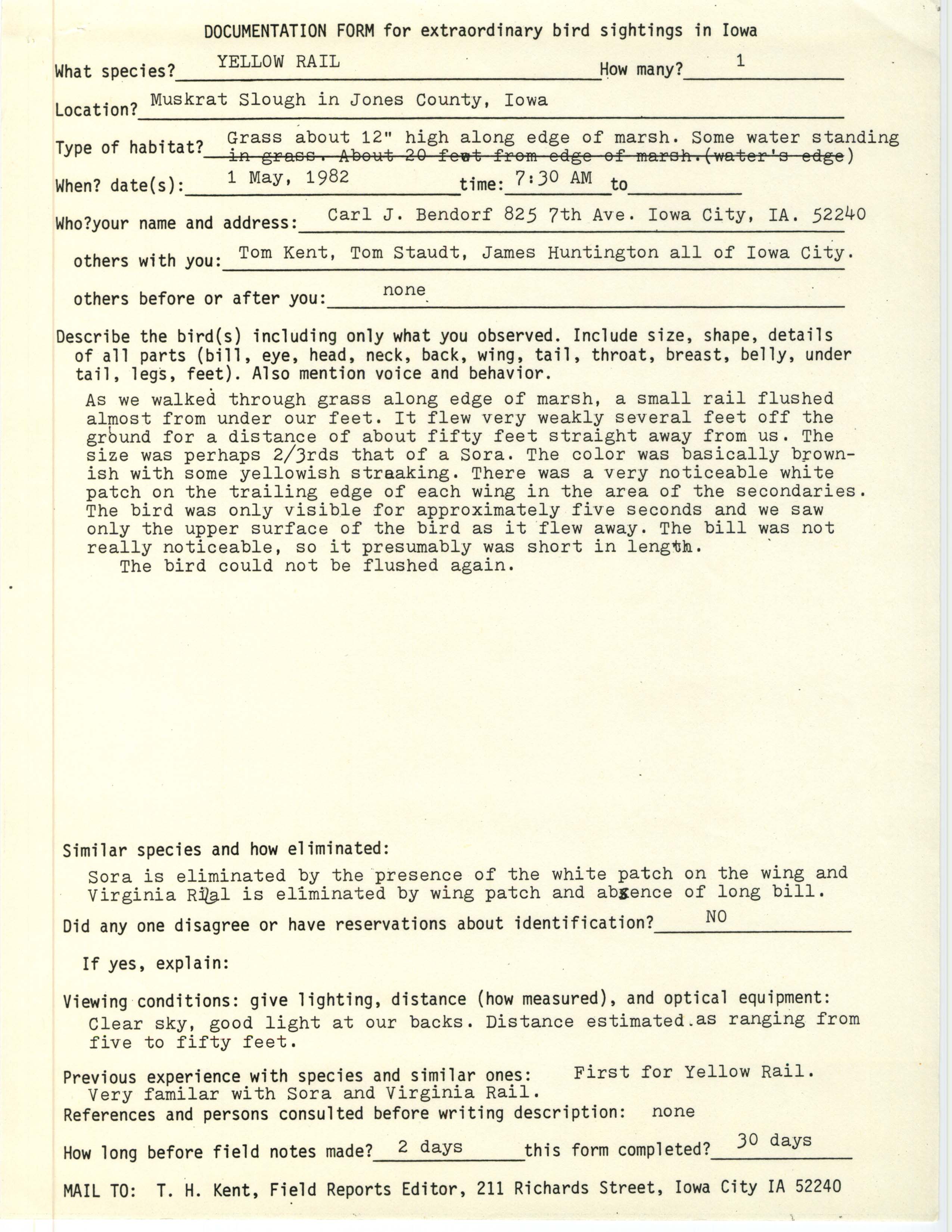 Rare bird documentation form for Yellow Rail at Muskrat Slough in 1982