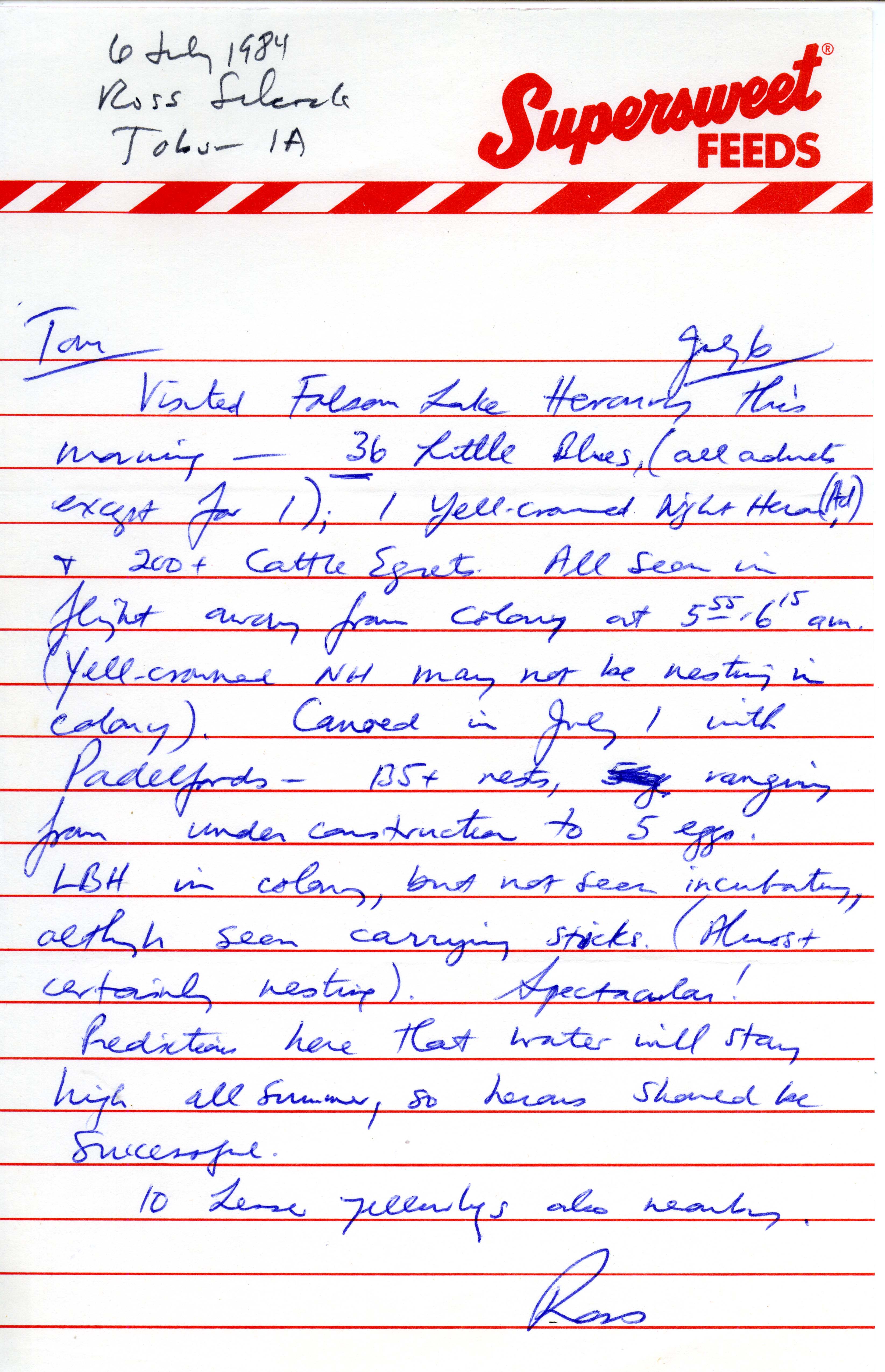 W. Ross Silcock letter to Thomas H. Kent regarding sightings at Folsom Lake Heronry, July 6, 1984