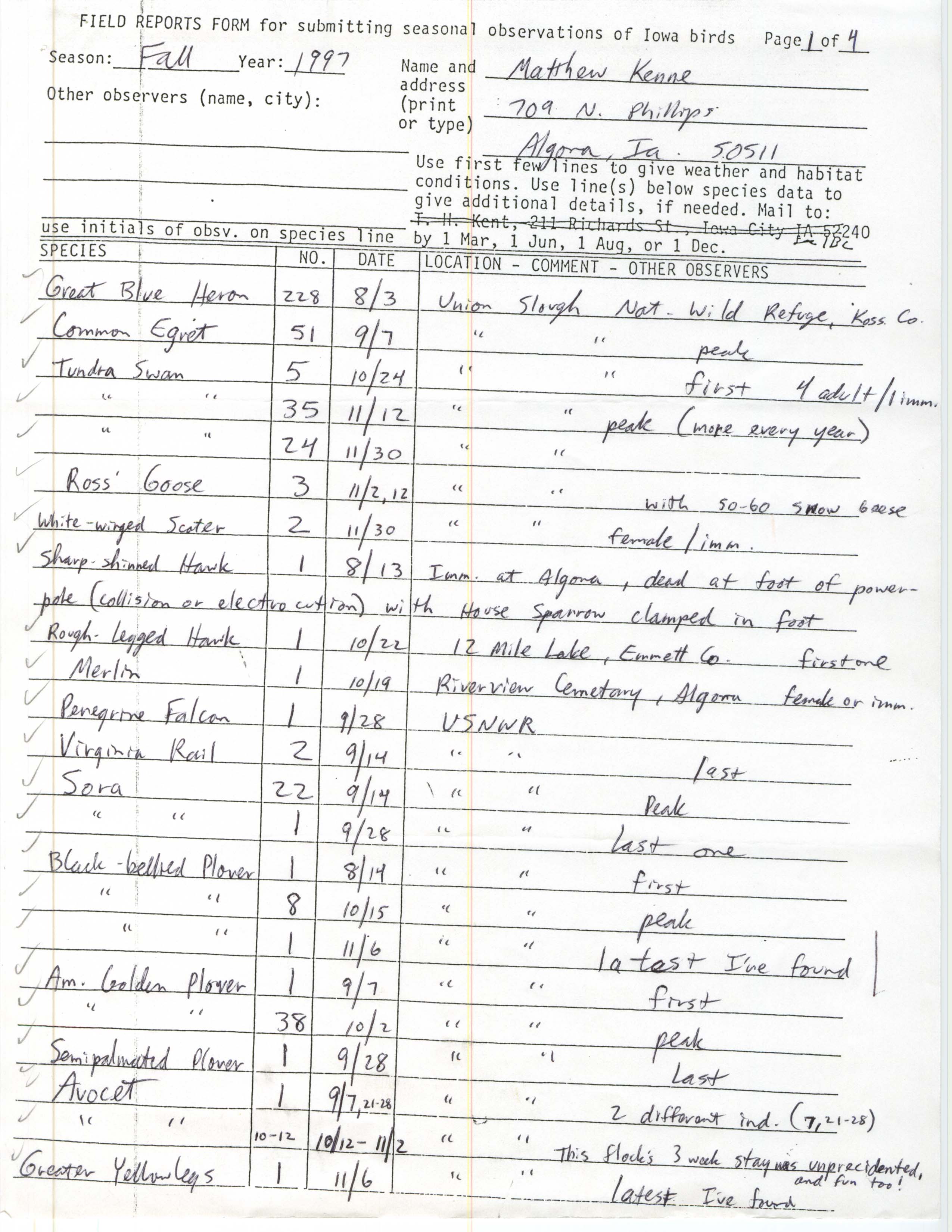 Field reports form for submitting seasonal observations of Iowa birds, Matthew Kenne, fall 1997