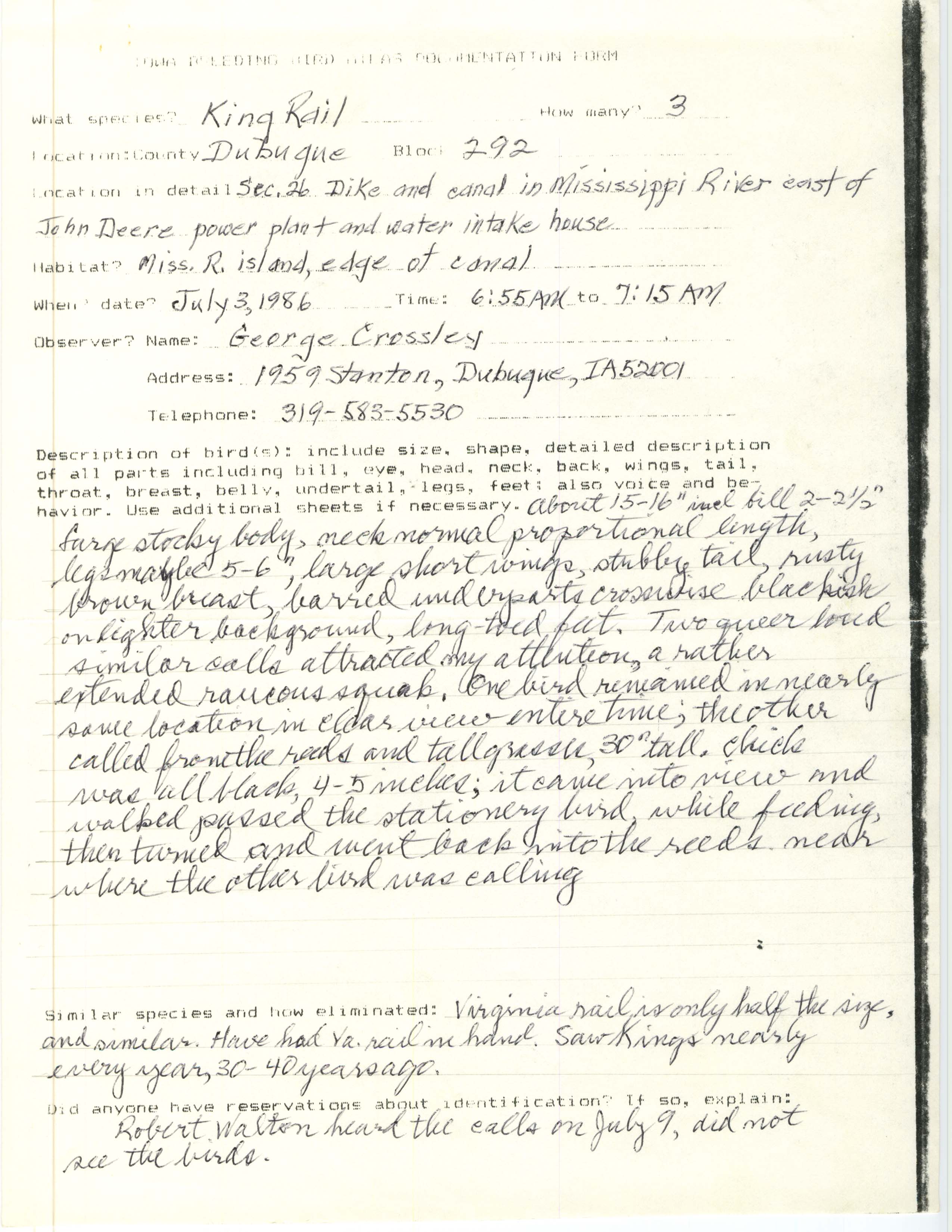 Rare bird documentation form for King Rail north of Dubuque, 1986