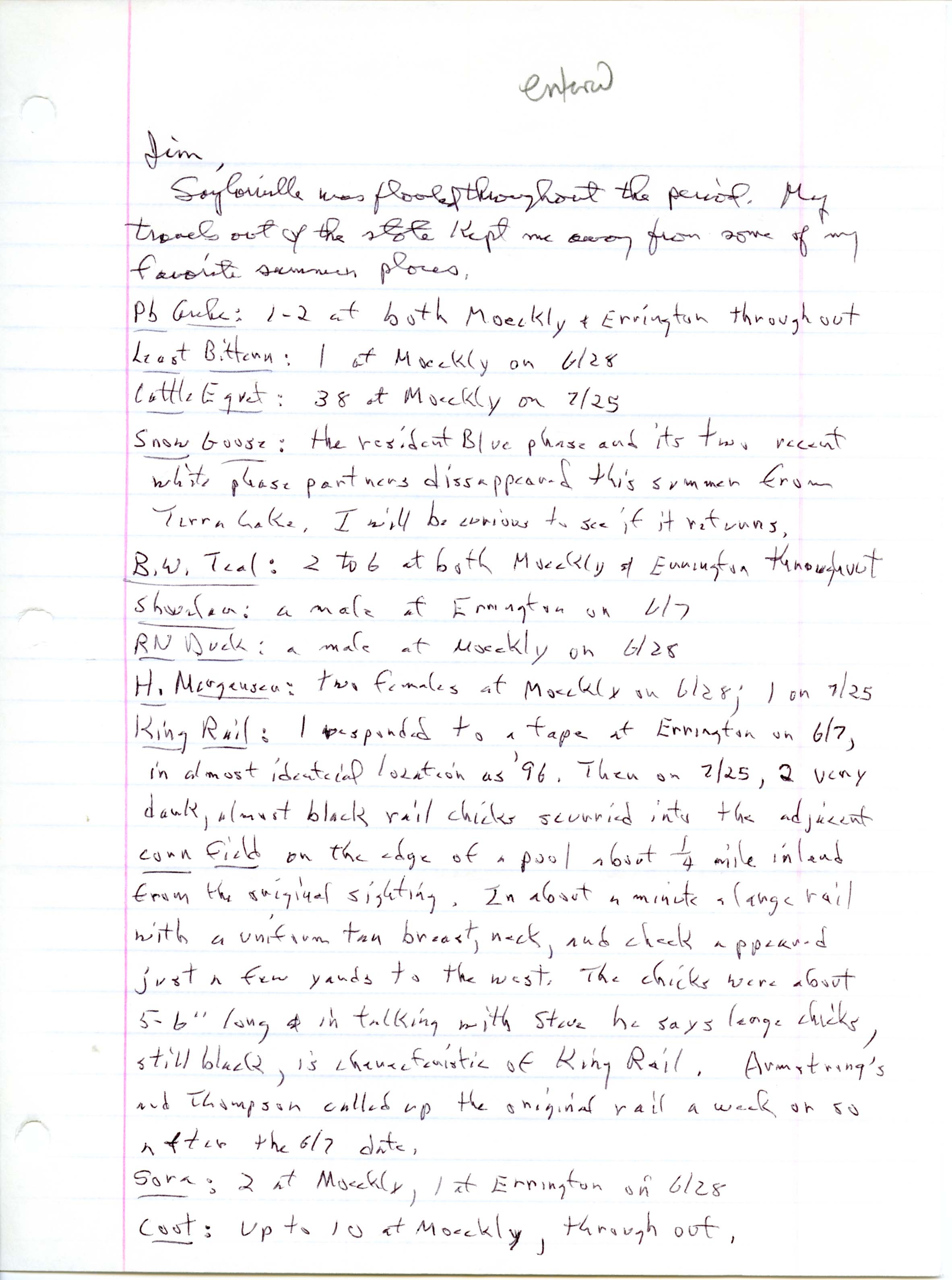 Annotated bird sighting list for summer 1998 compiled by Bery Engebretsen