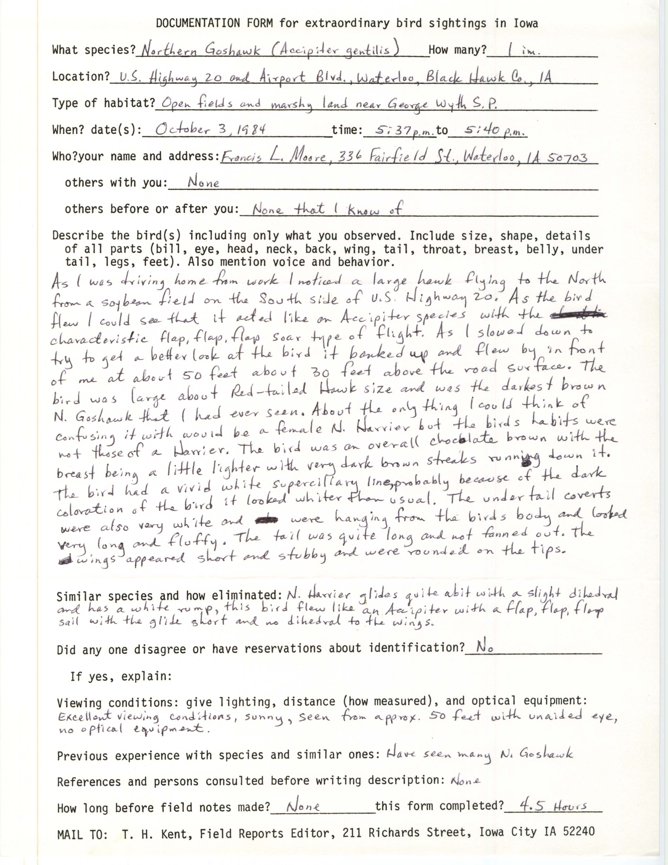 Rare bird documentation form for Northern Goshawk at Waterloo, 1984
