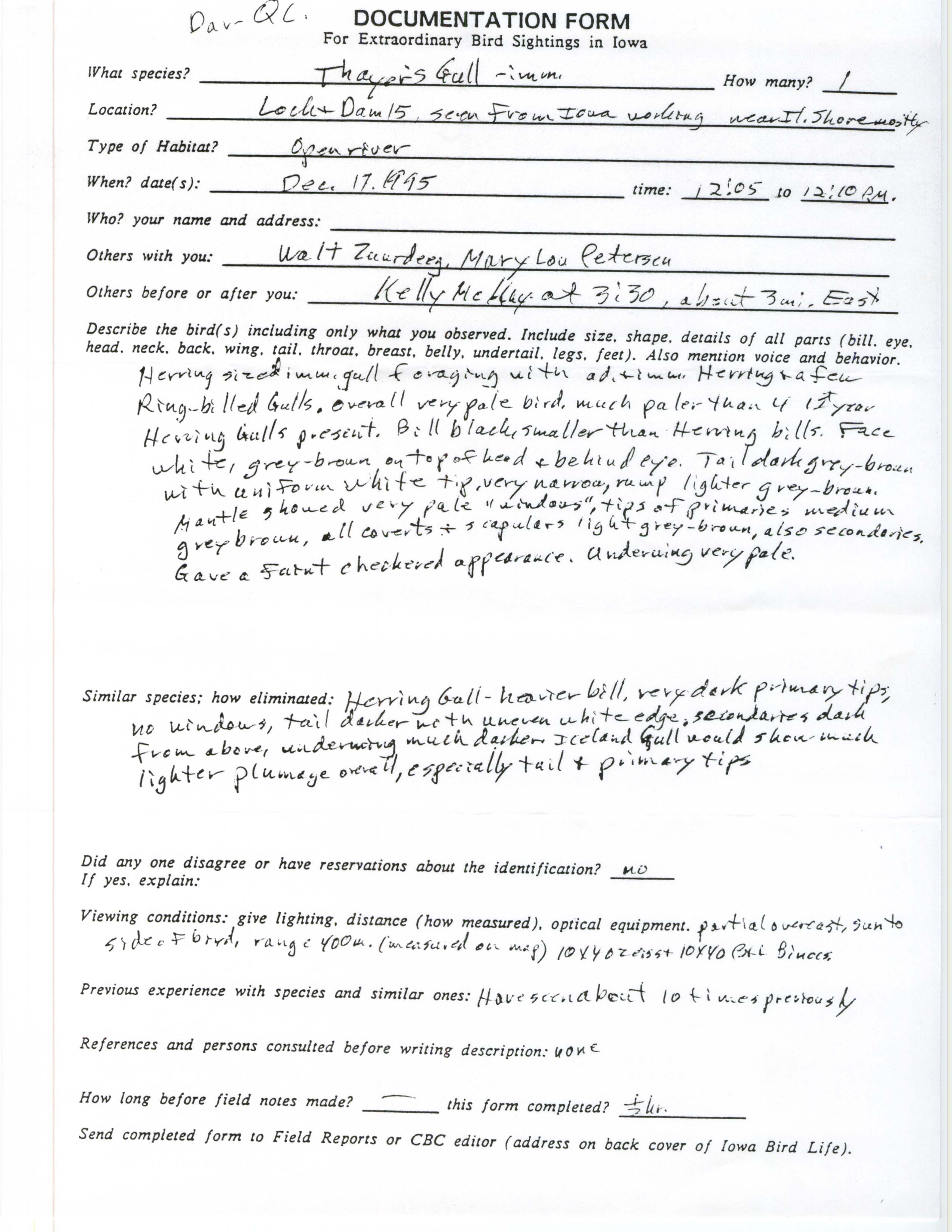 Rare bird documentation form for Thayer's Gull at Lock and Dam 15, 1995