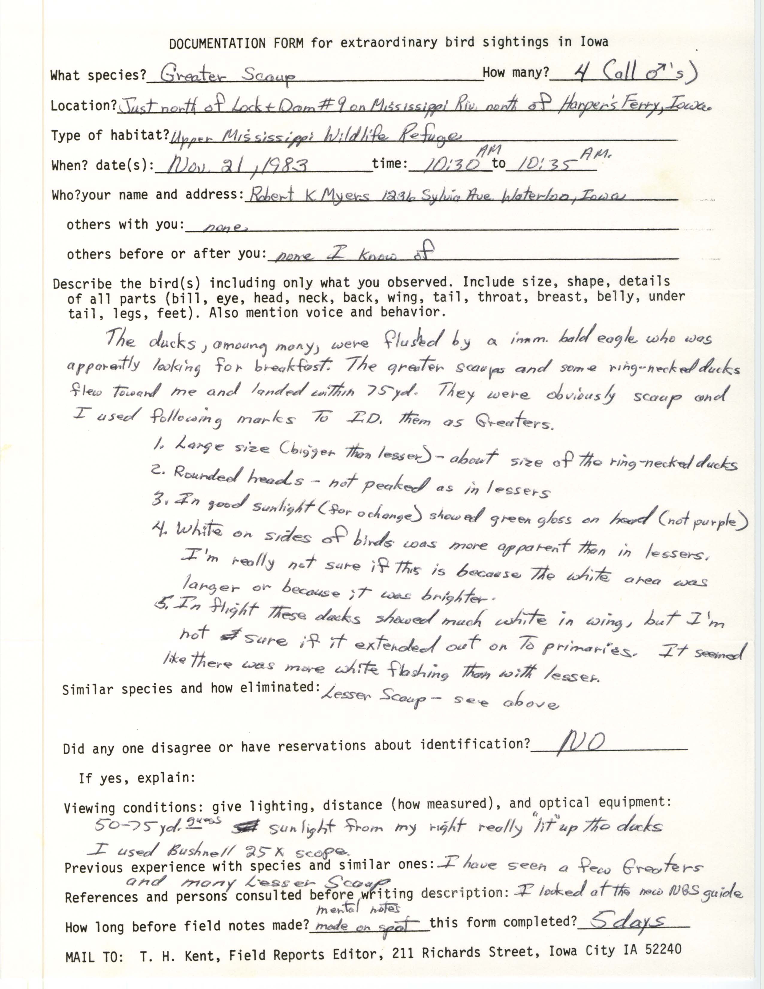 Rare bird documentation form for Greater Scaup at Lock and Dam 9, 1983