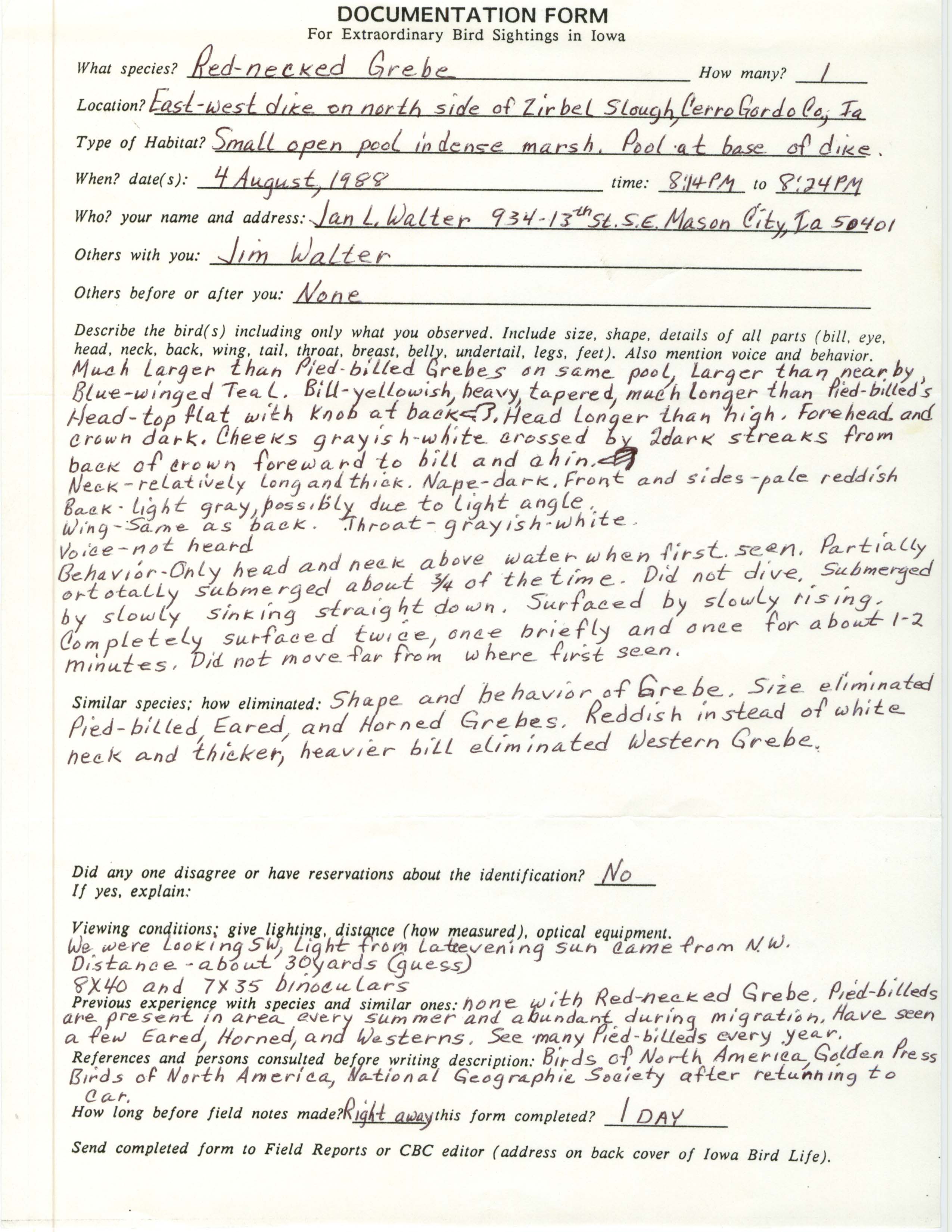 Rare bird documentation form for Red-necked Grebe at Zirbel Slough, 1988