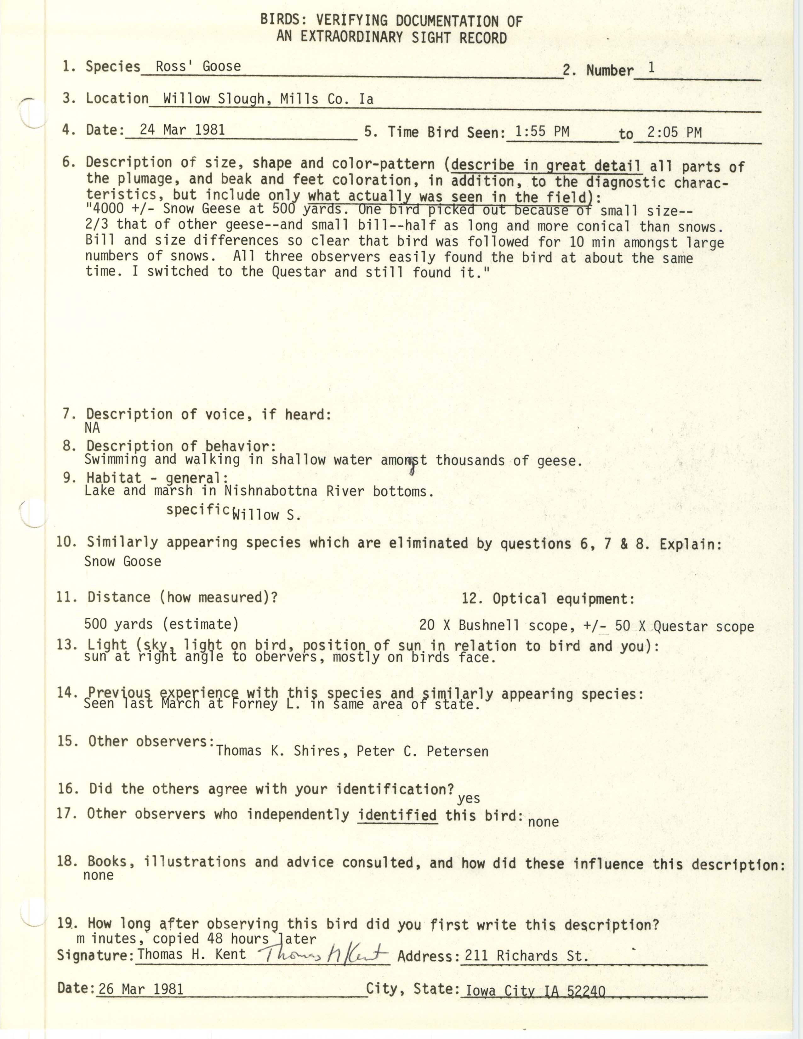 Rare bird documentation form for Ross' Goose at Willow Slough, 1981