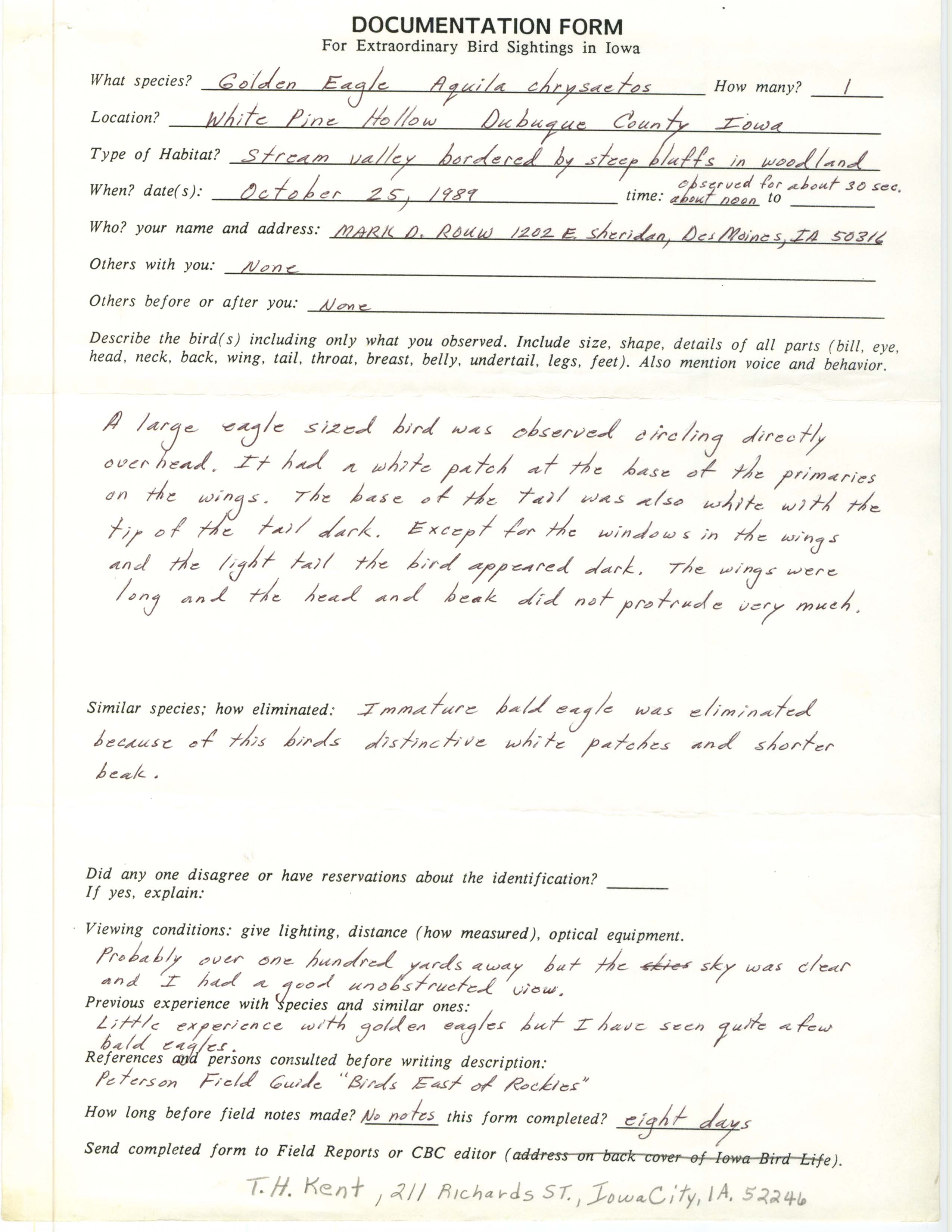 Rare bird documentation form for Golden Eagle at White Pine Hollow, 1989