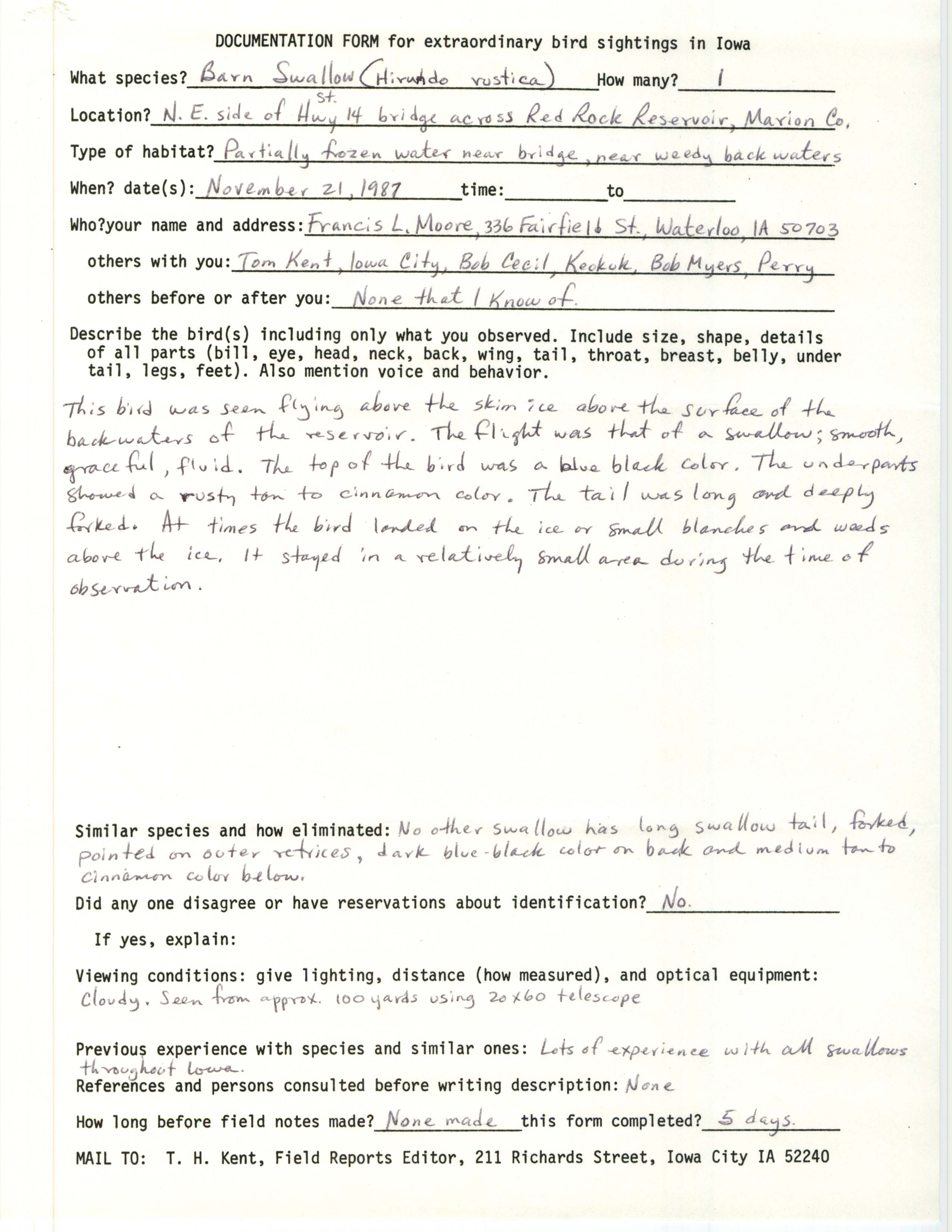Rare bird documentation form for Barn Swallow at Red Rock Reservoir, 1987