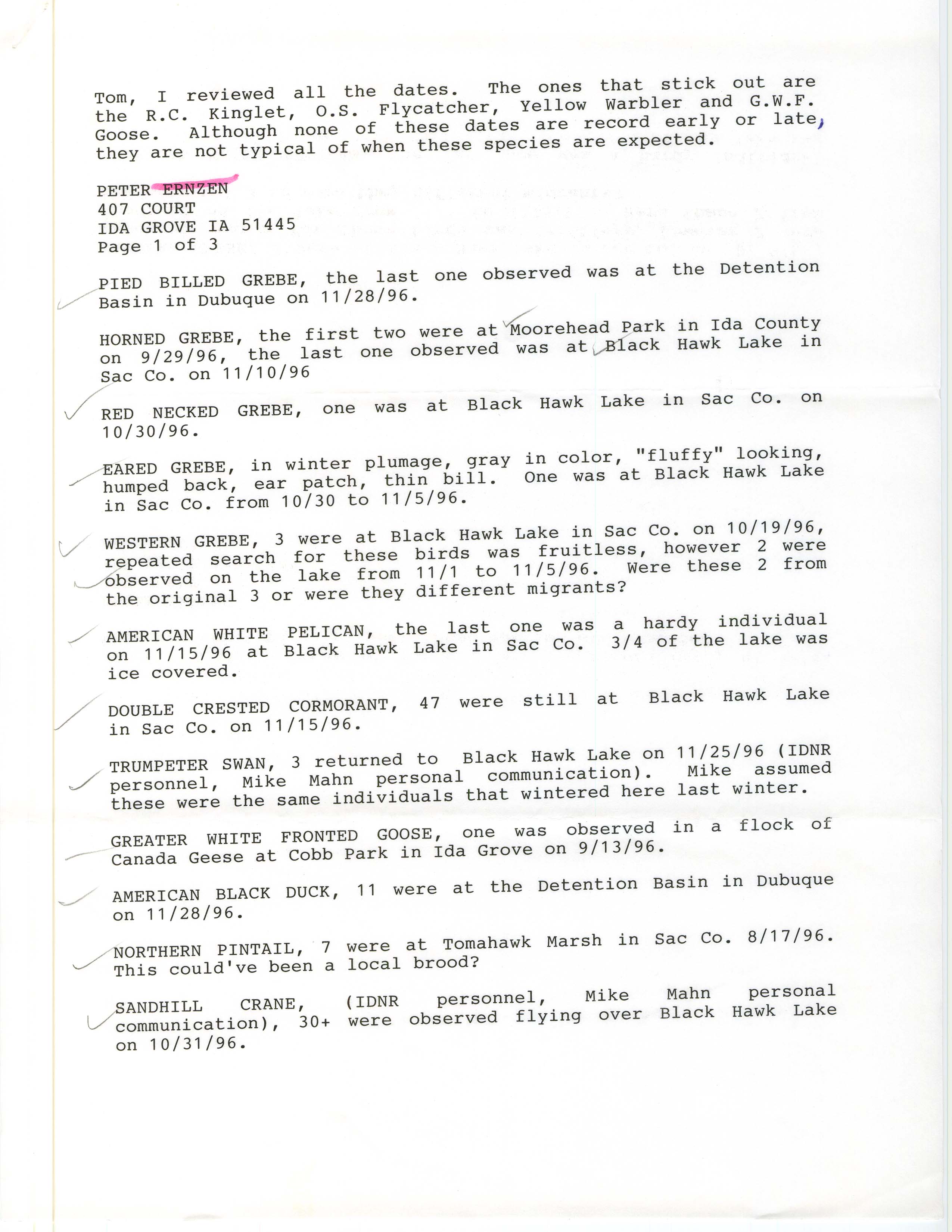 Field notes contributed by Peter Ernzen, fall 1996