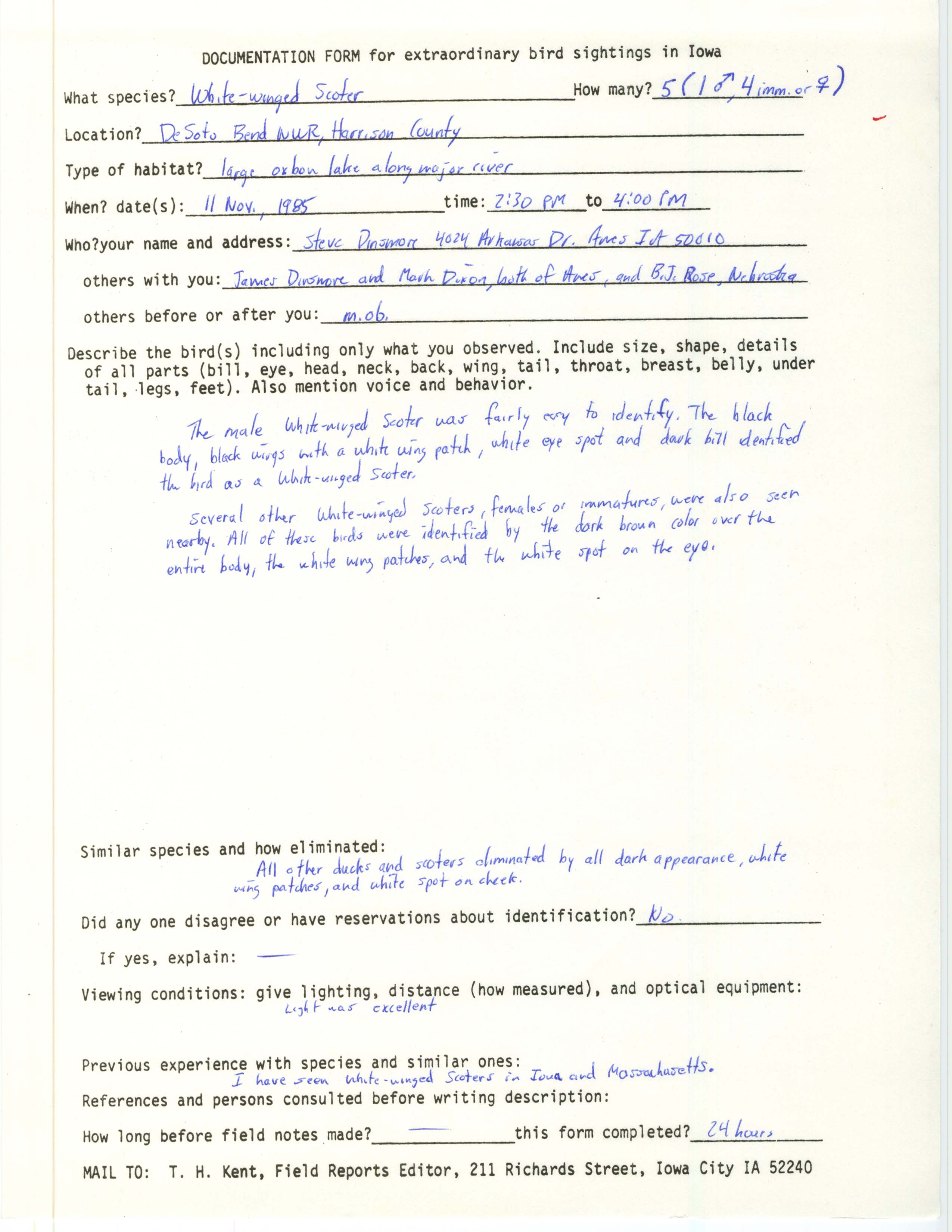 Rare bird documentation form for White-winged Scoter at DeSoto Bend National Wildlife Refuge in 1985