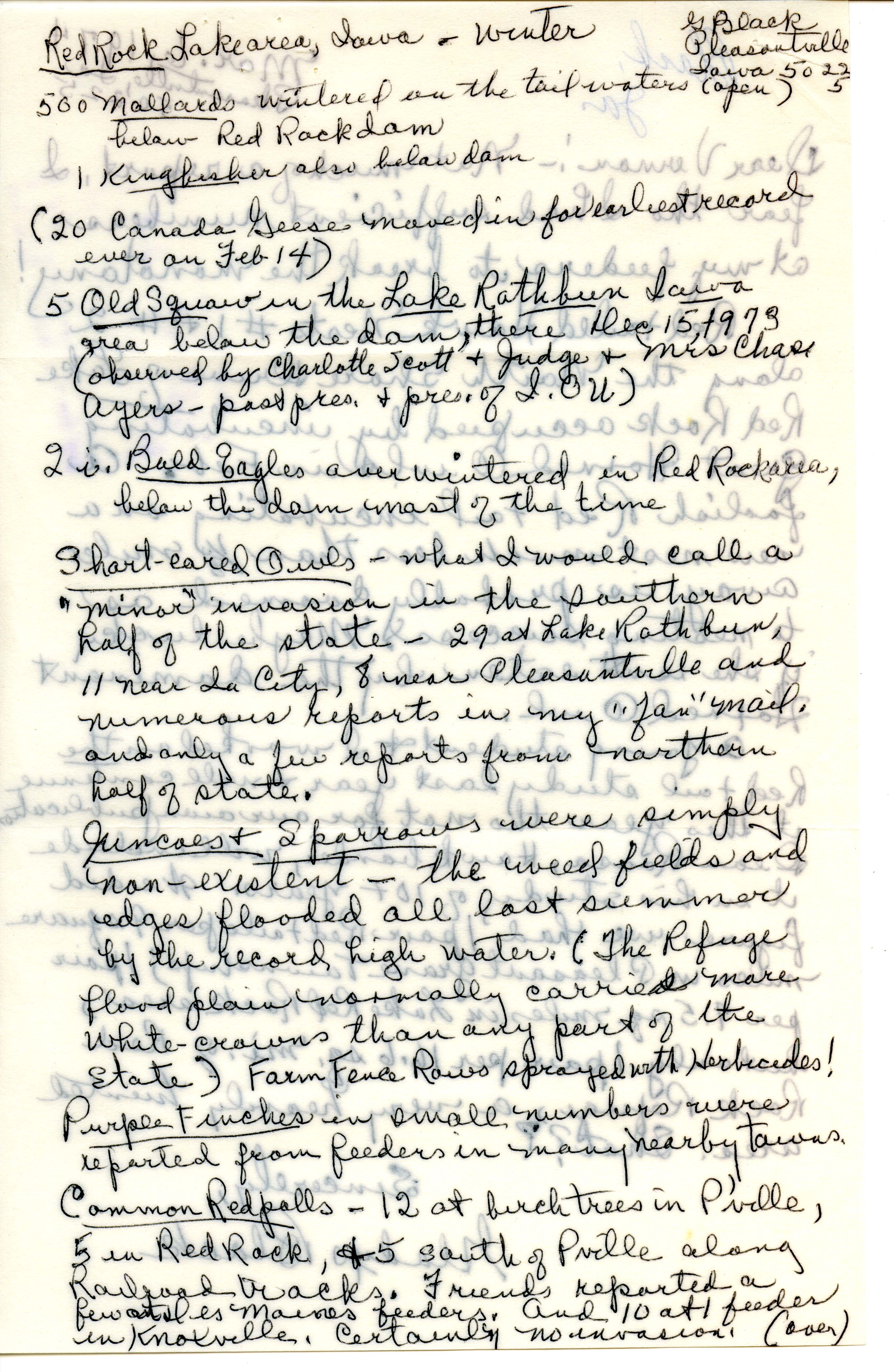 Gladys Black letter and report to Vernon M. Kleen regarding winter Red Rock Lake area bird sightings, March 6, 1974