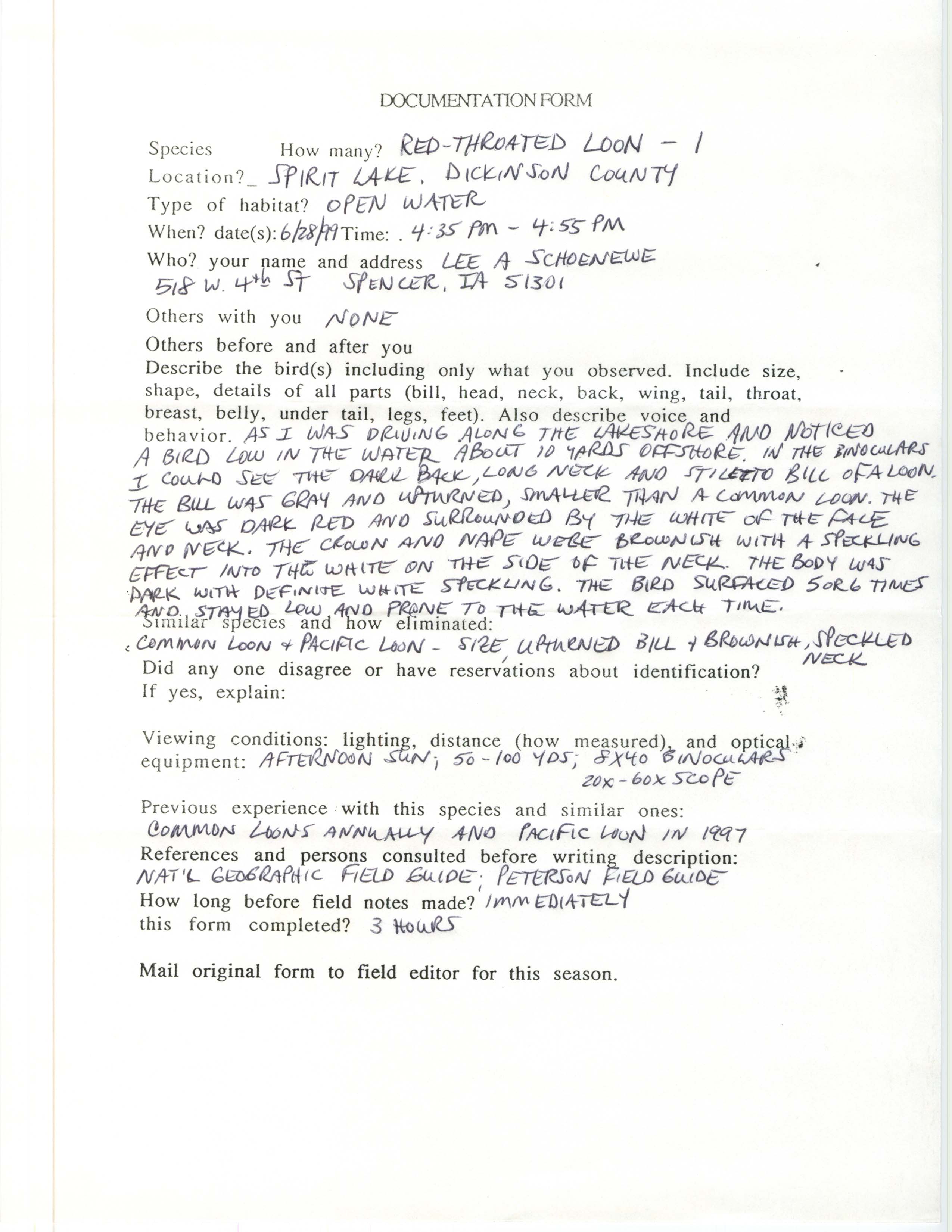 Rare bird documentation form for Red-throated Loon at Spirit Lake, 1999