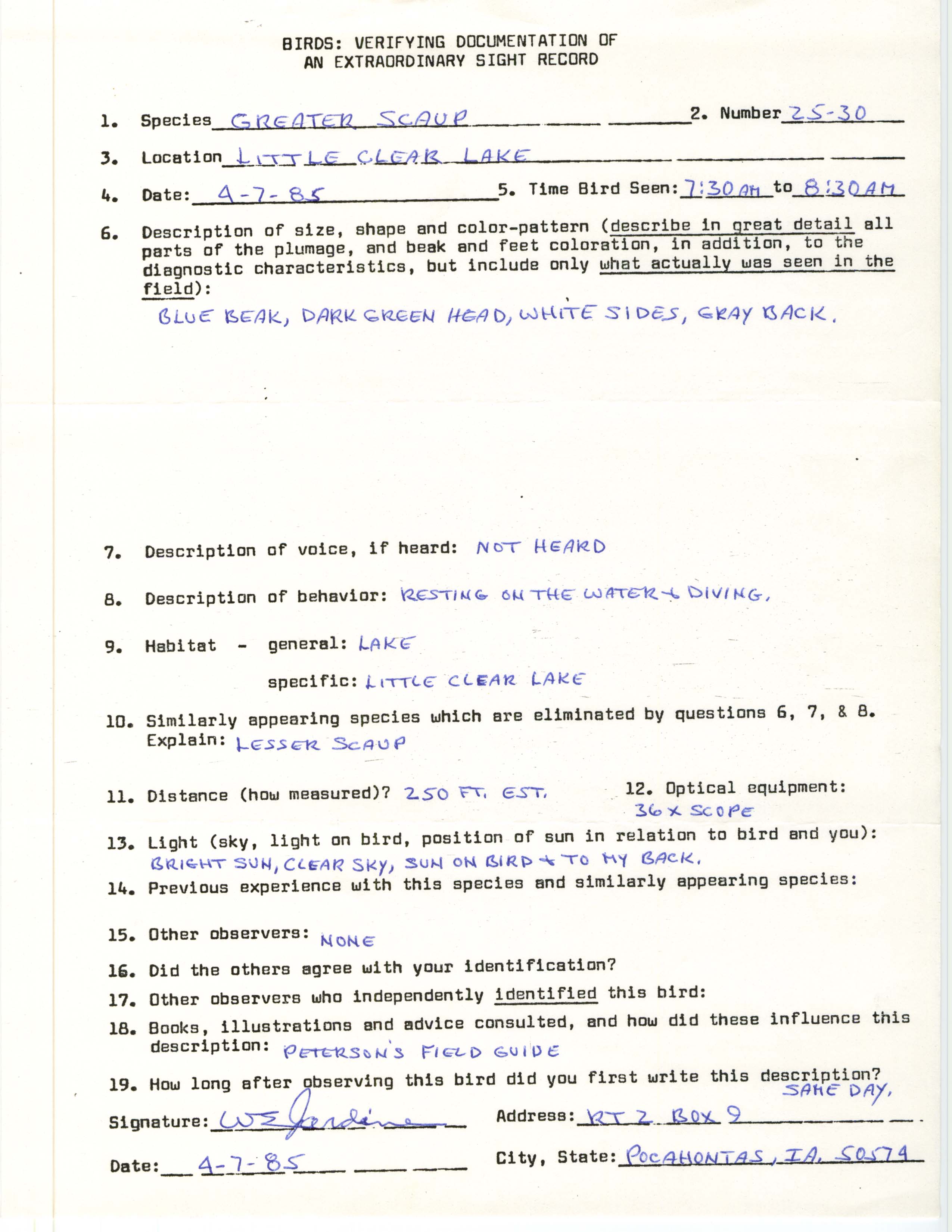 Rare bird documentation form for Greater Scaup at Little Clear Lake in 1985