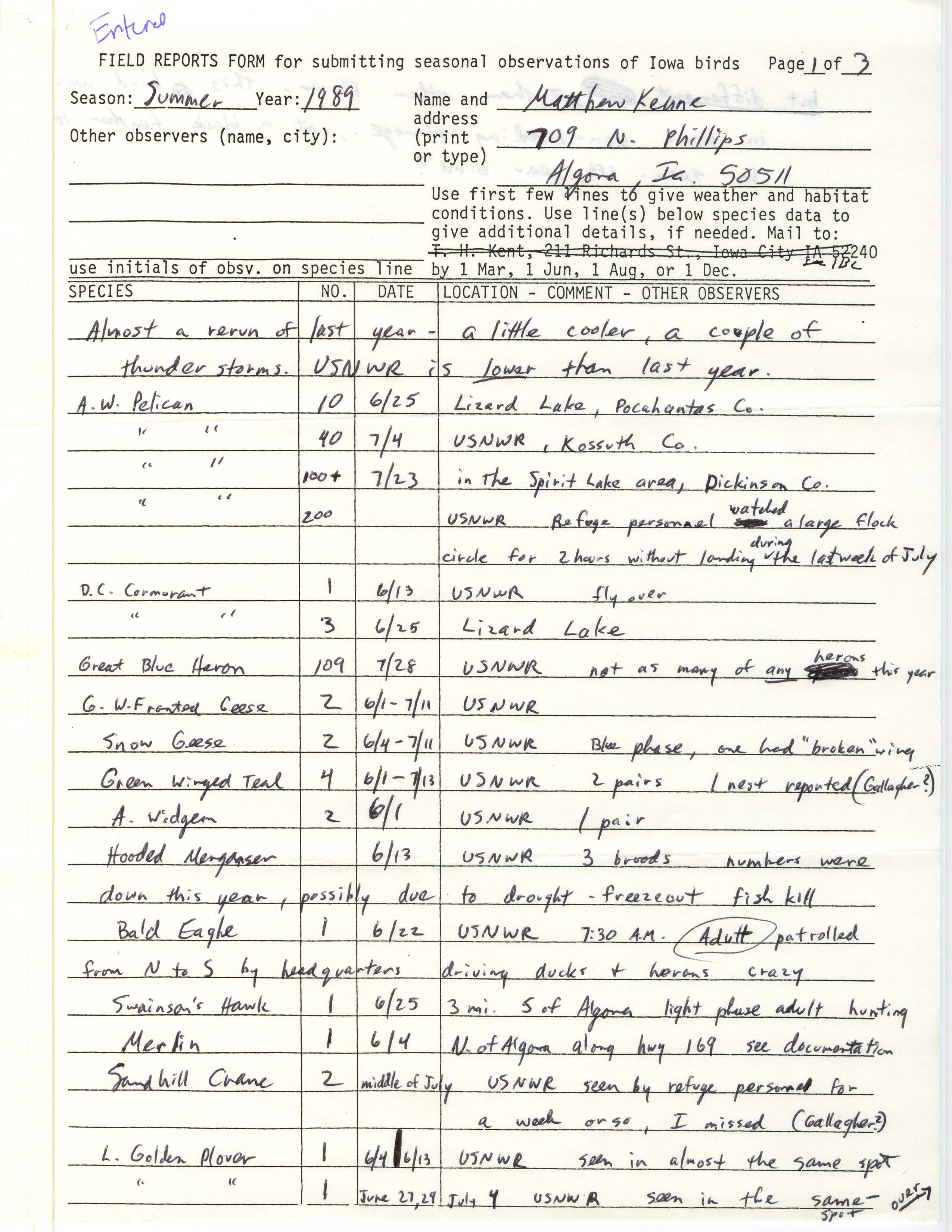 Field reports form for submitting seasonal observations of Iowa birds, Matthew Kenne, summer 1989