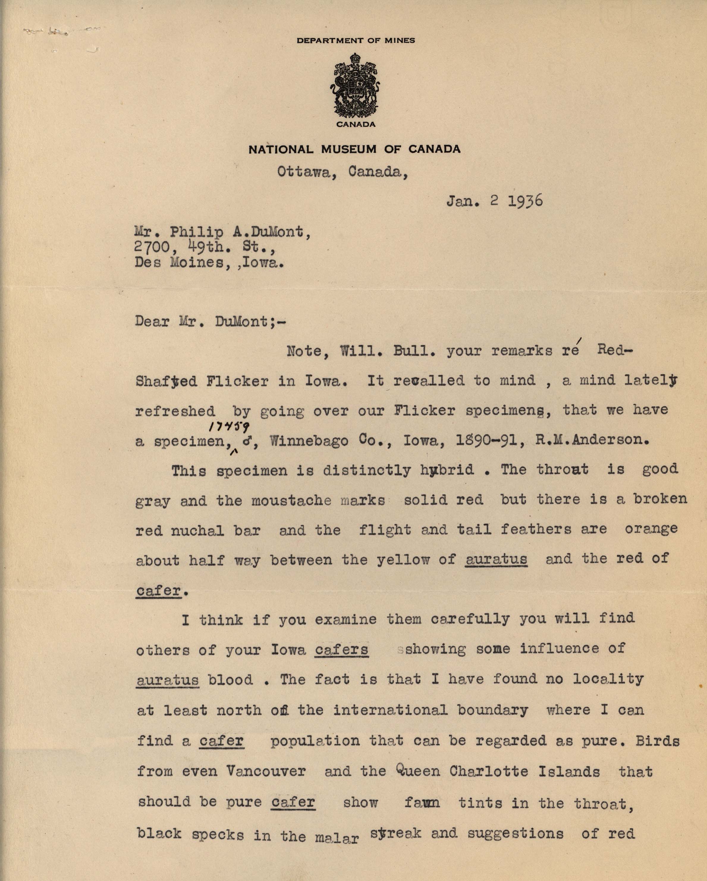 Percy Taverner letter to Philip DuMont regarding Flicker hybrids, January 2, 1936