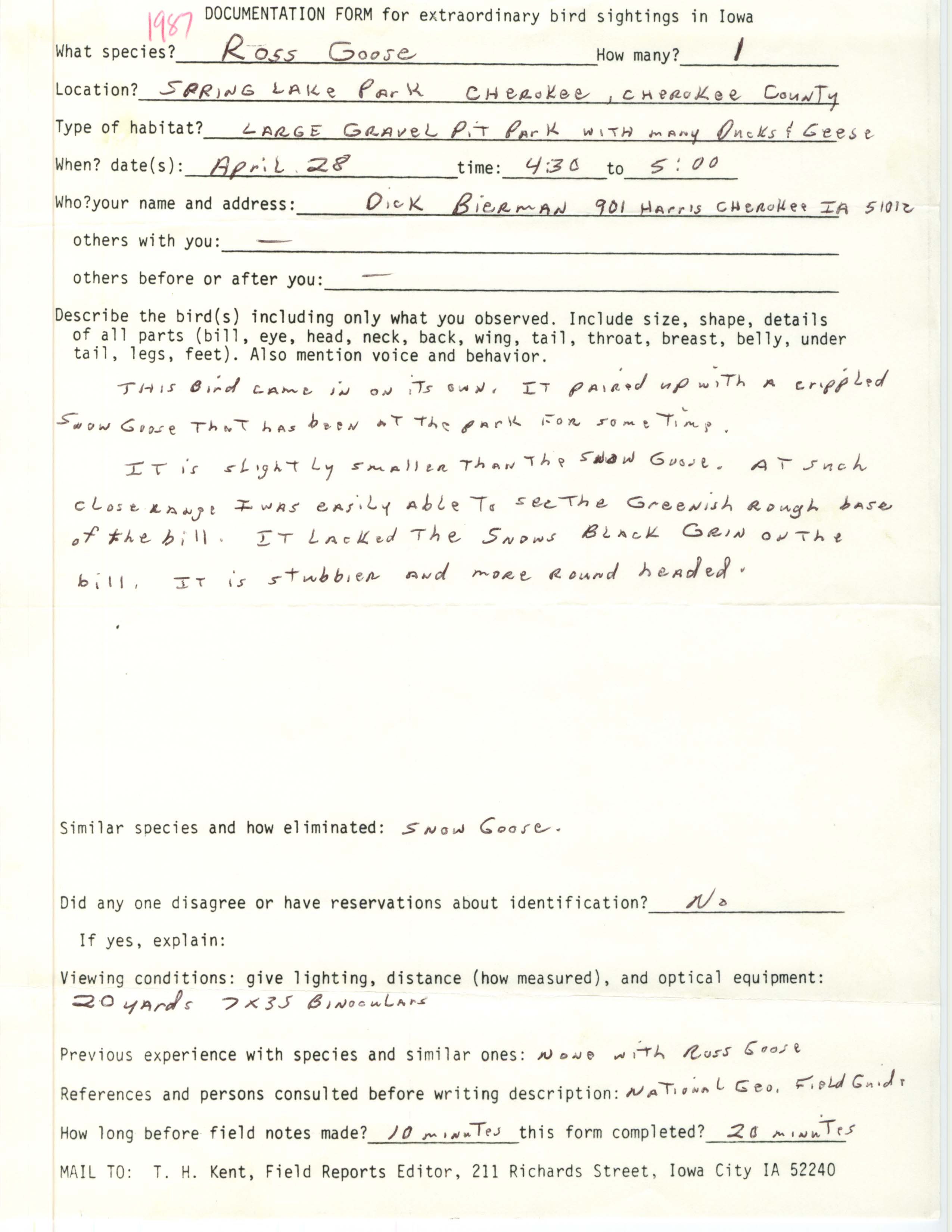 Rare bird documentation form for Ross' Goose at Spring Lake Park in Cherokee, 1987