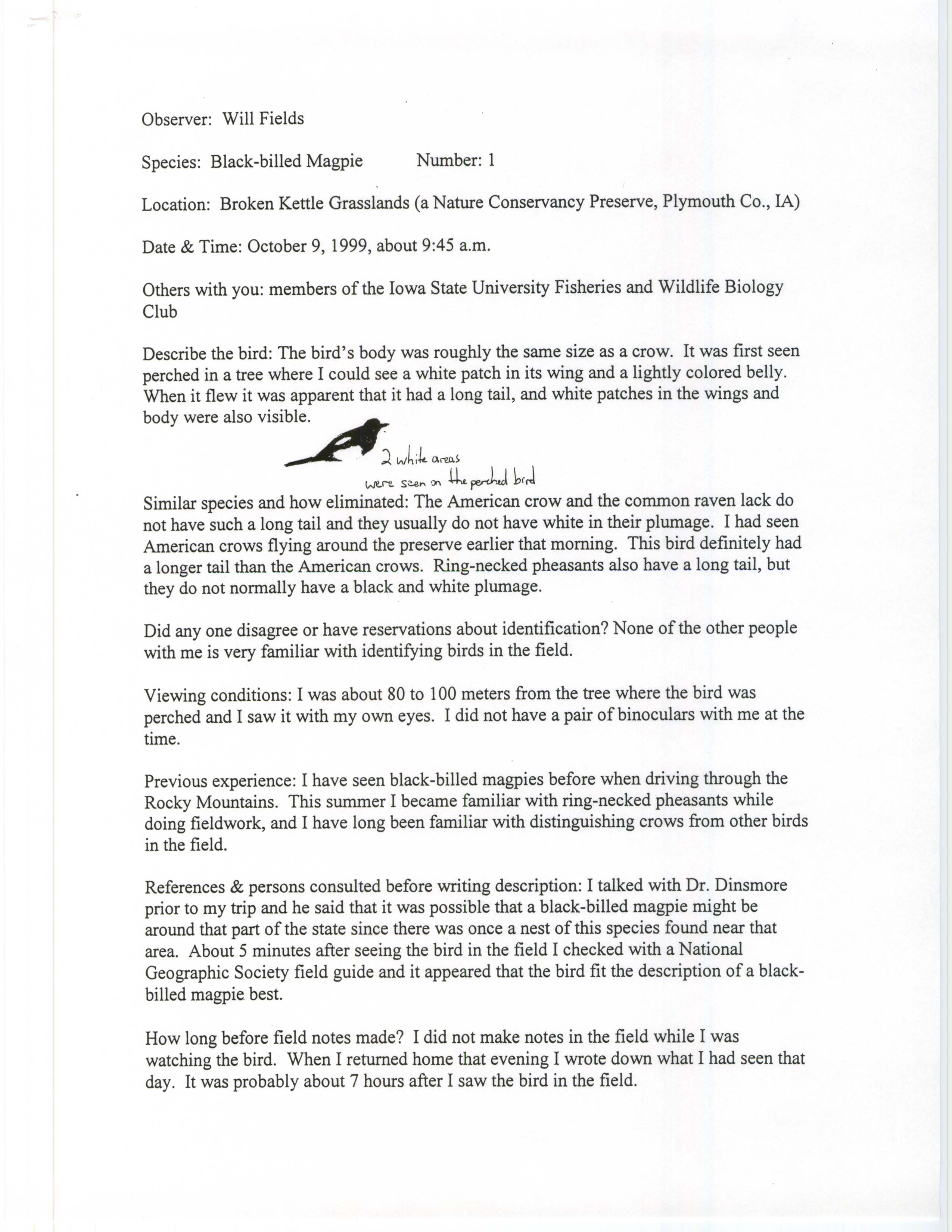 Rare bird documentation form for Black-billed Magpie at Broken Kettle Grasslands Preserve, 1999