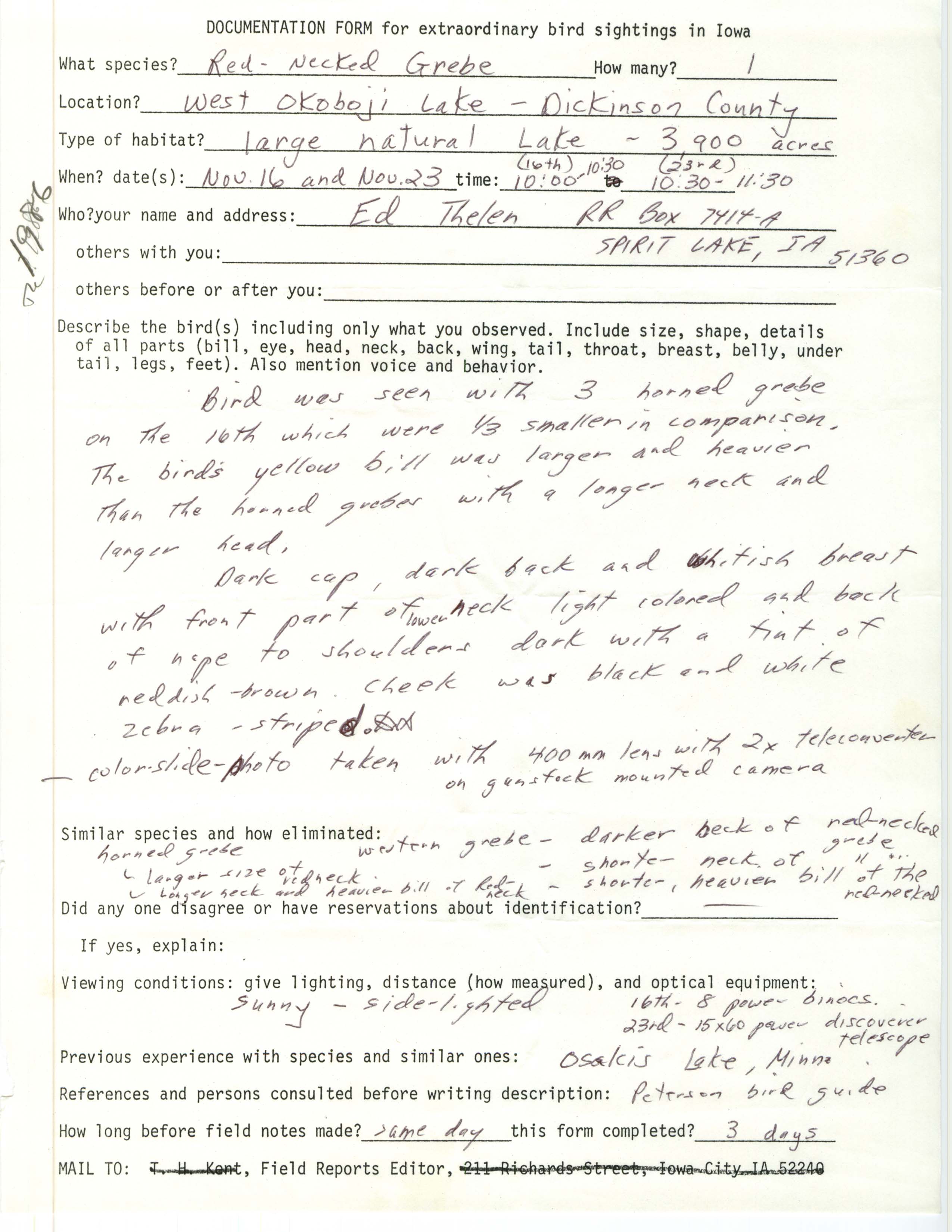 Rare bird documentation form for Red-necked Grebe at West Okoboji Lake, 1986