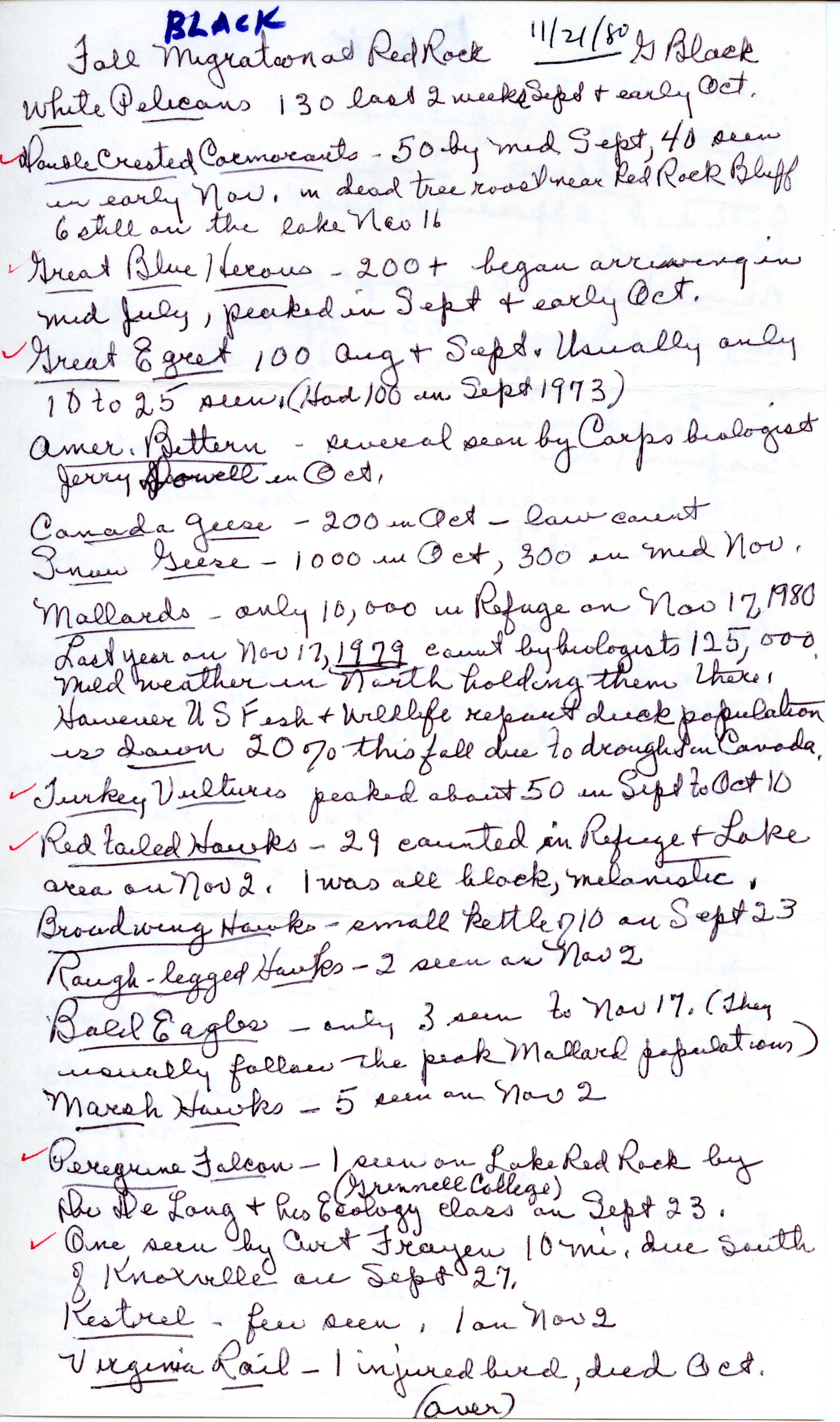 Field notes contributed by Gladys Black, November 21 1980