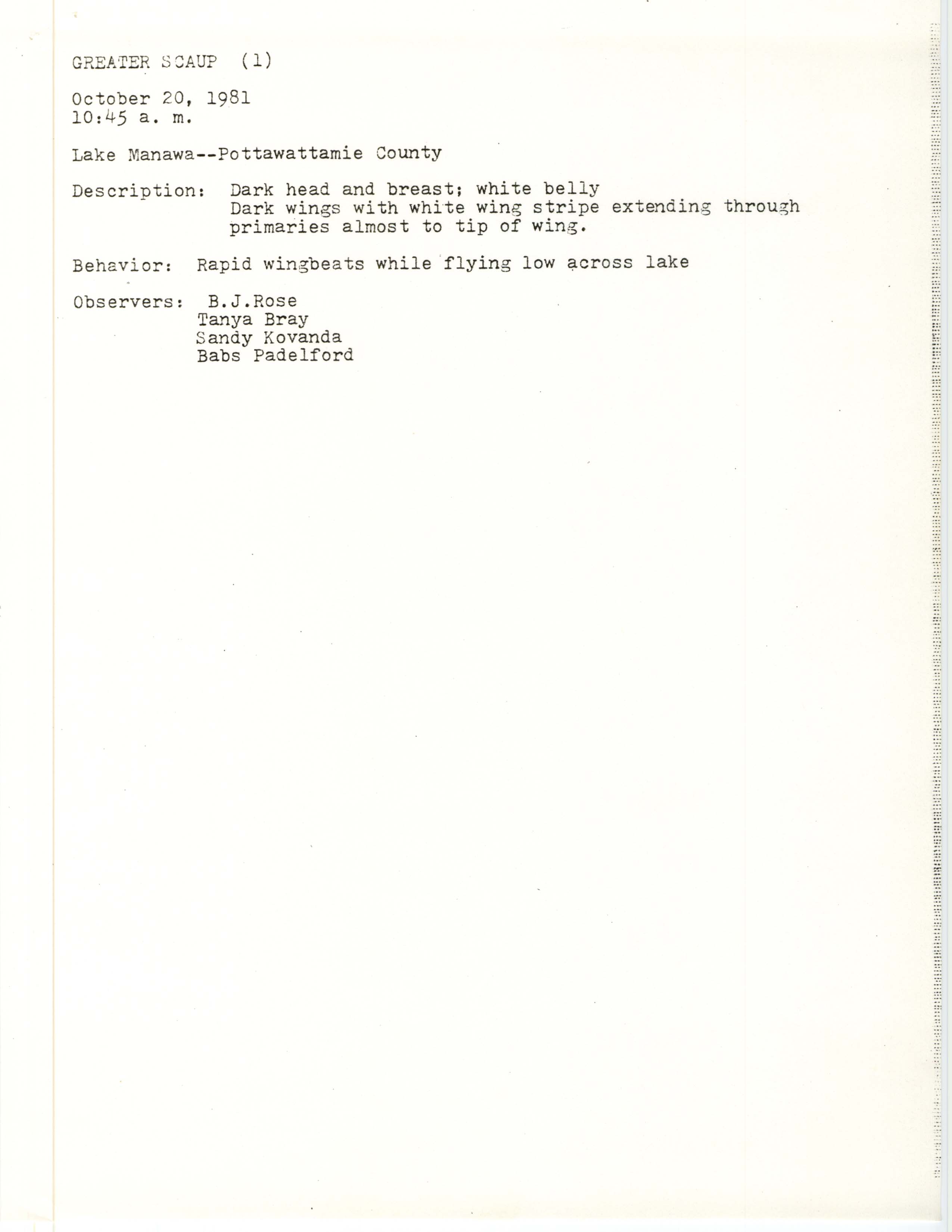 Rare bird documentation form for Greater Scaup at Lake Manawa in 1981