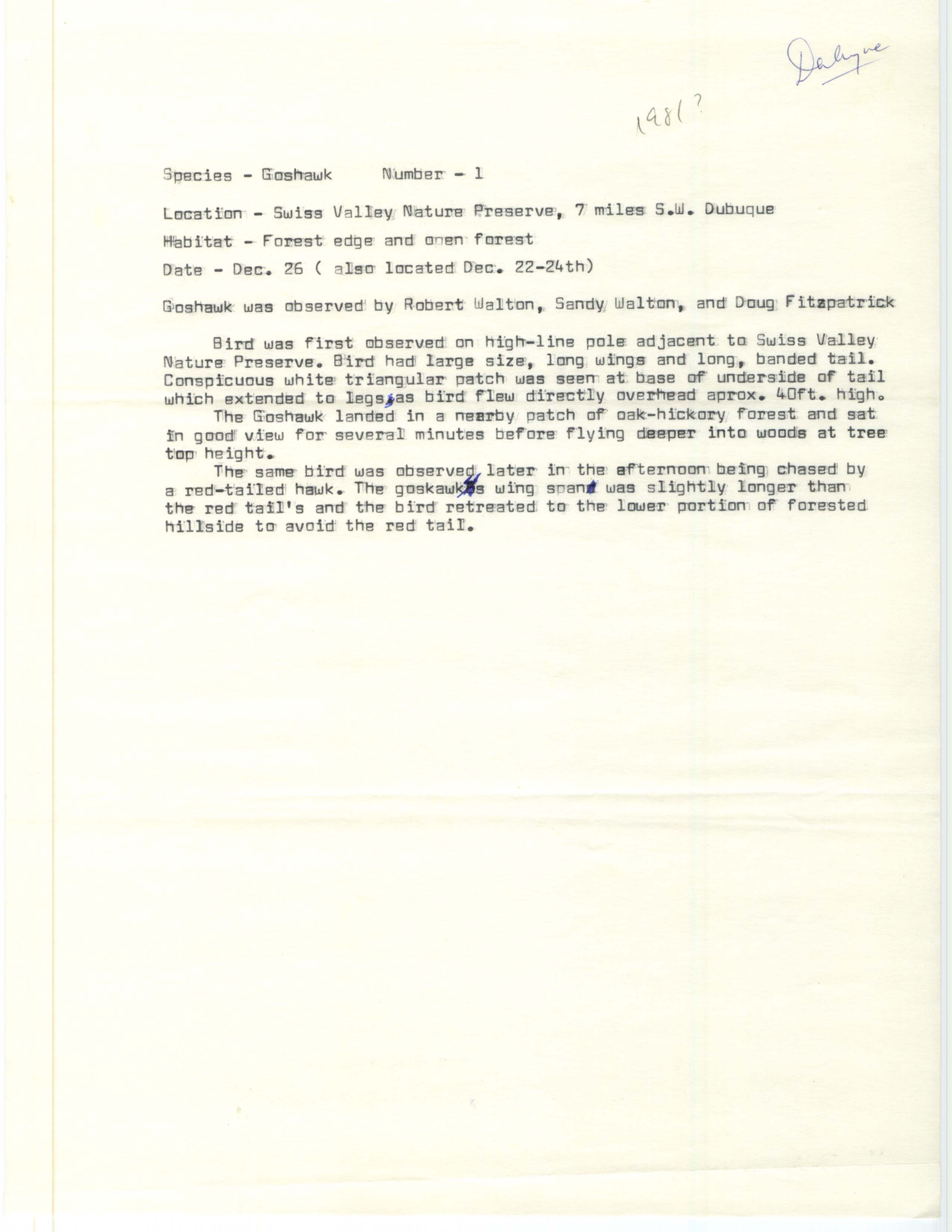 Northern Goshawk sighting details contributed by Robert Walton, 1981