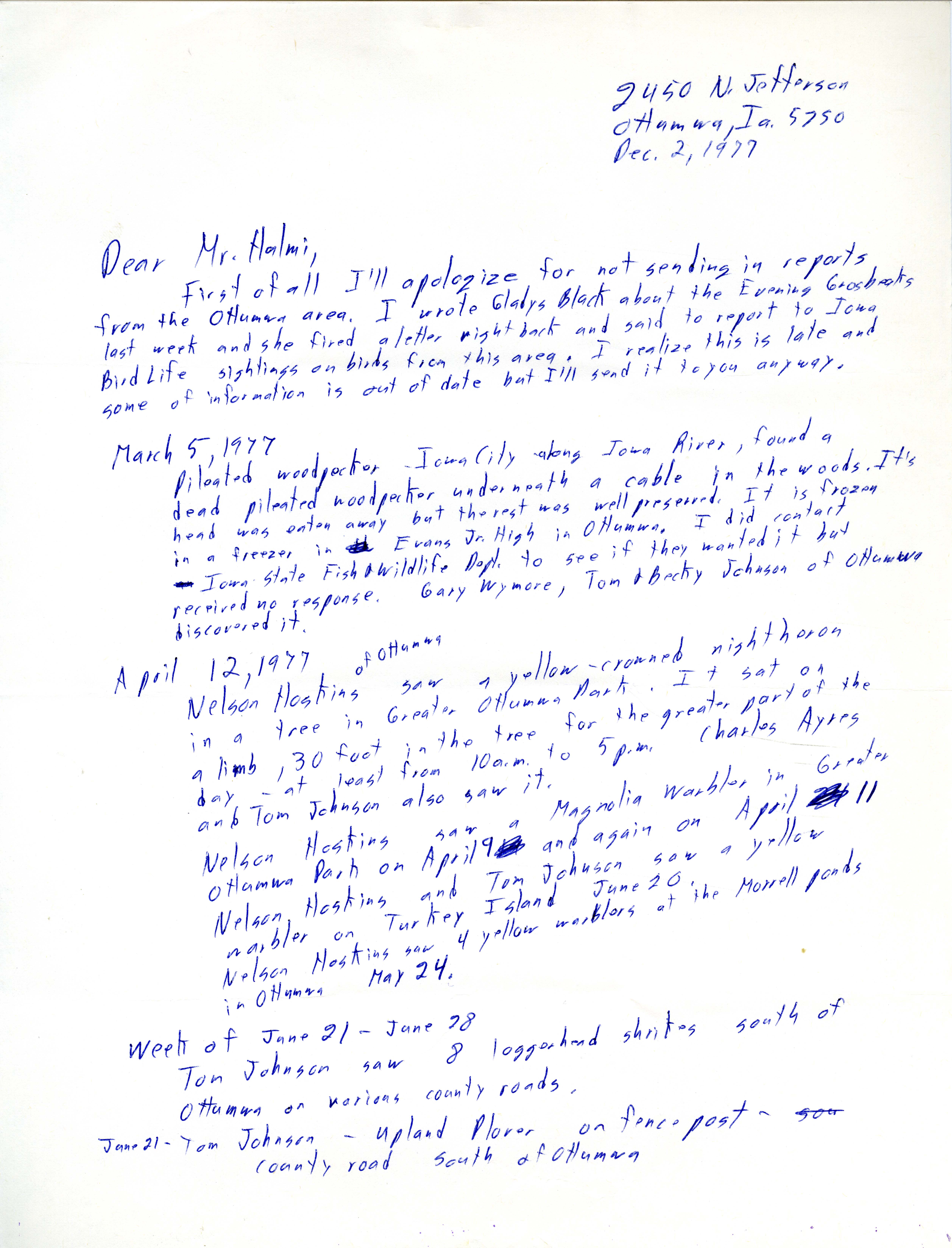 Tom Johnson letter to Nicholas S. Halmi regarding bird sightings, December 2, 1977