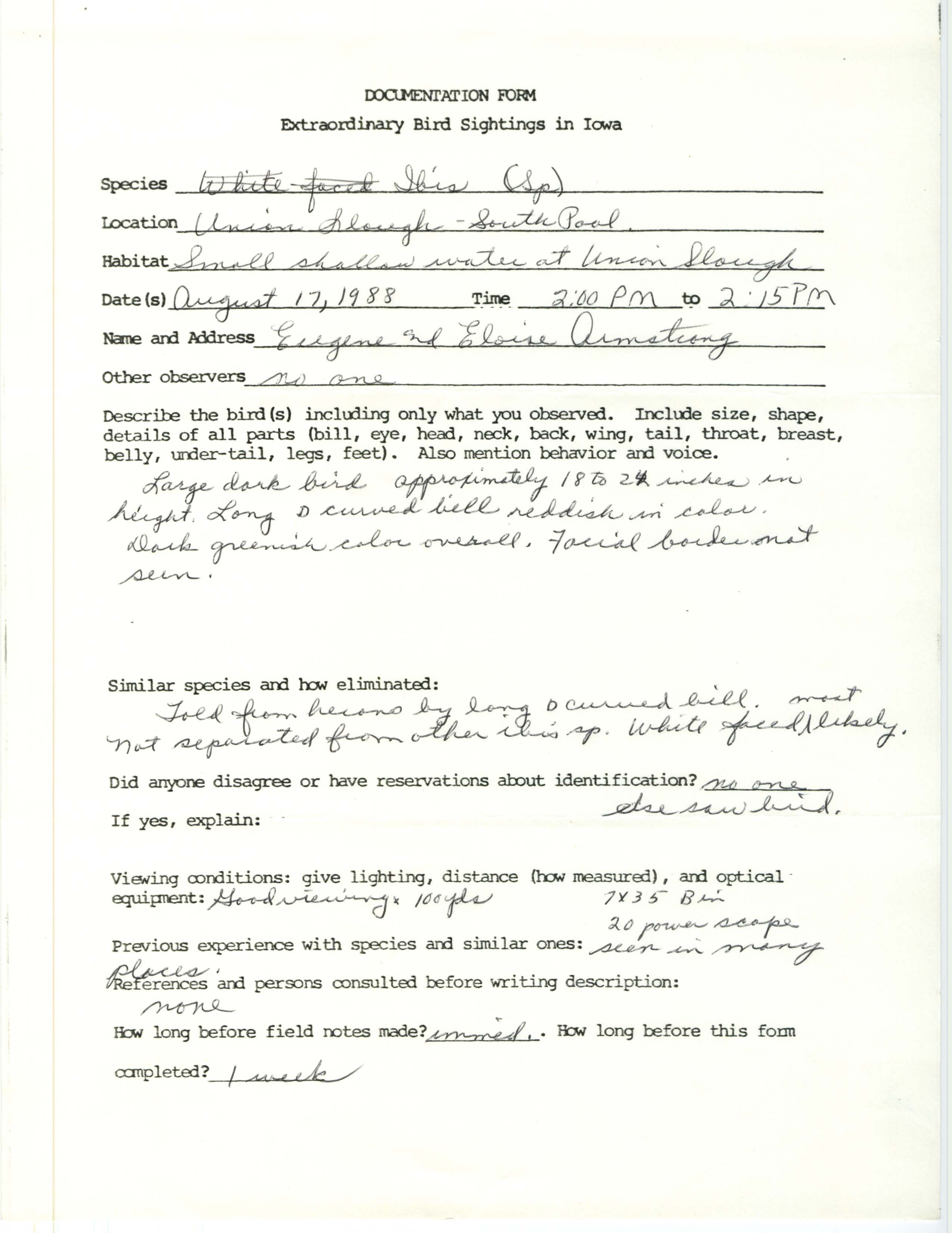 Rare bird documentation form for Ibis species at Union Slough, 1988