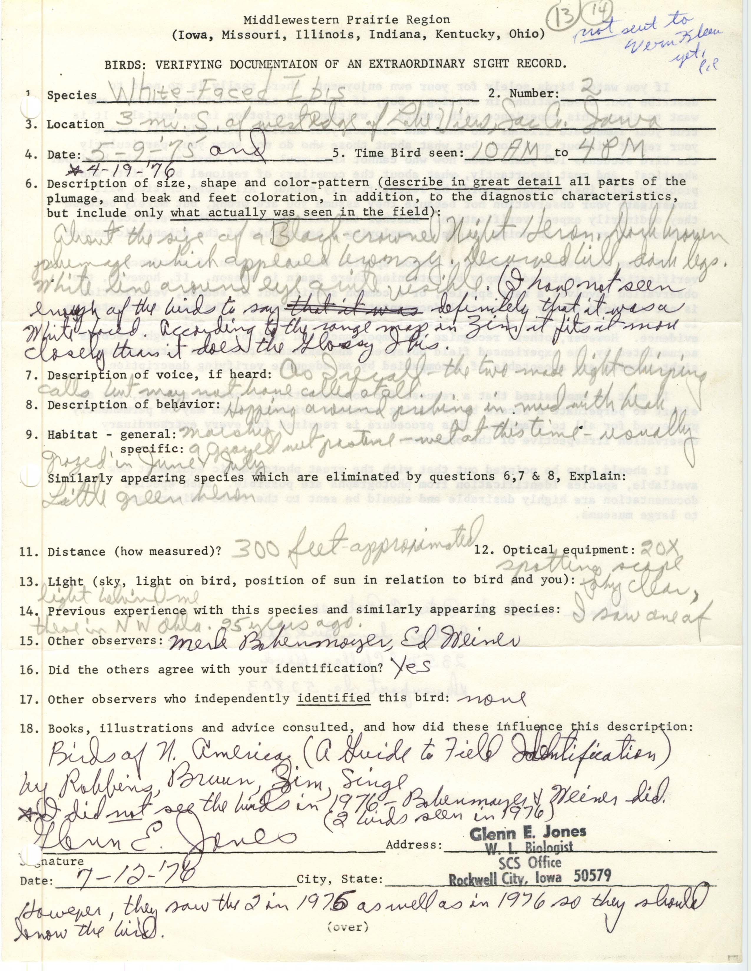 Rare bird documentation form for White-faced Ibis at Lake View, 1975