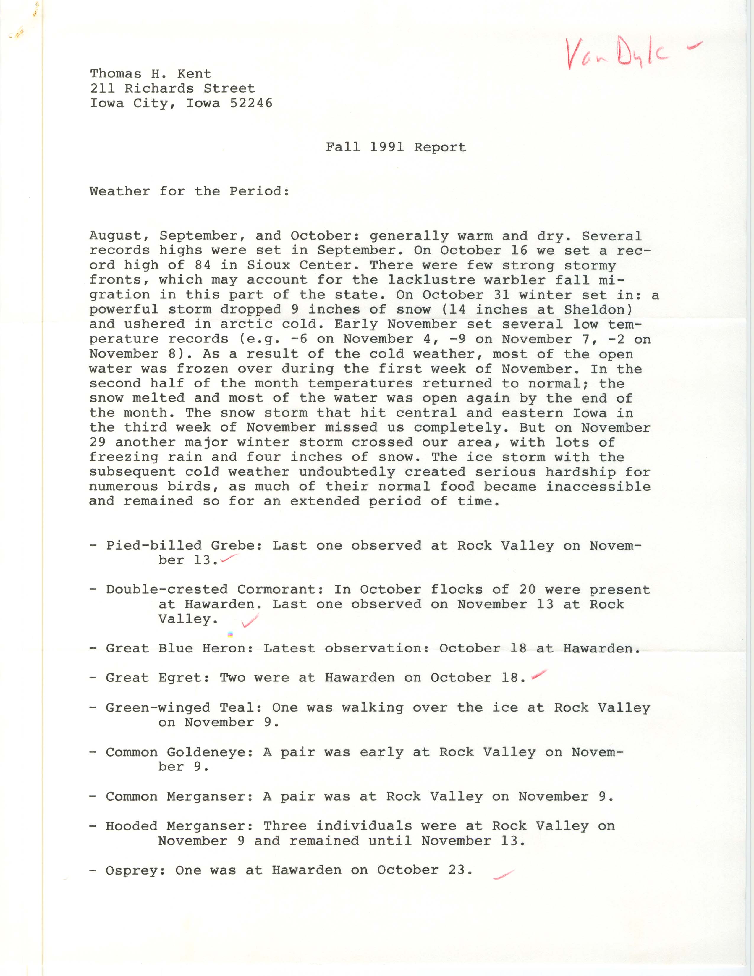 John Van Dyk letter to Thomas H. Kent regarding bird sightings, December 1, 1991
