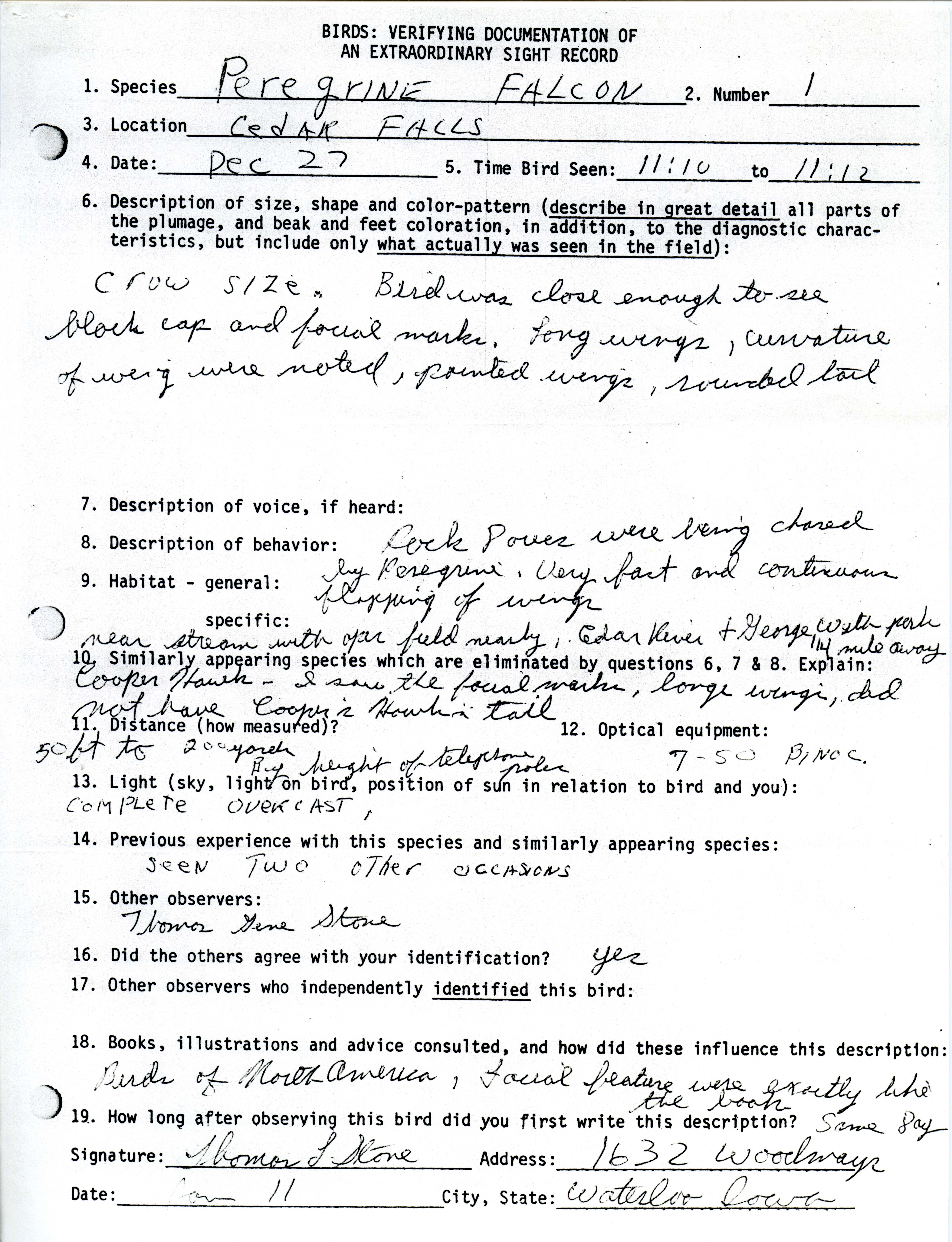 Verifying documentation form for Peregrine Falcon sighting submitted by Thomas Stone, December 27 1980