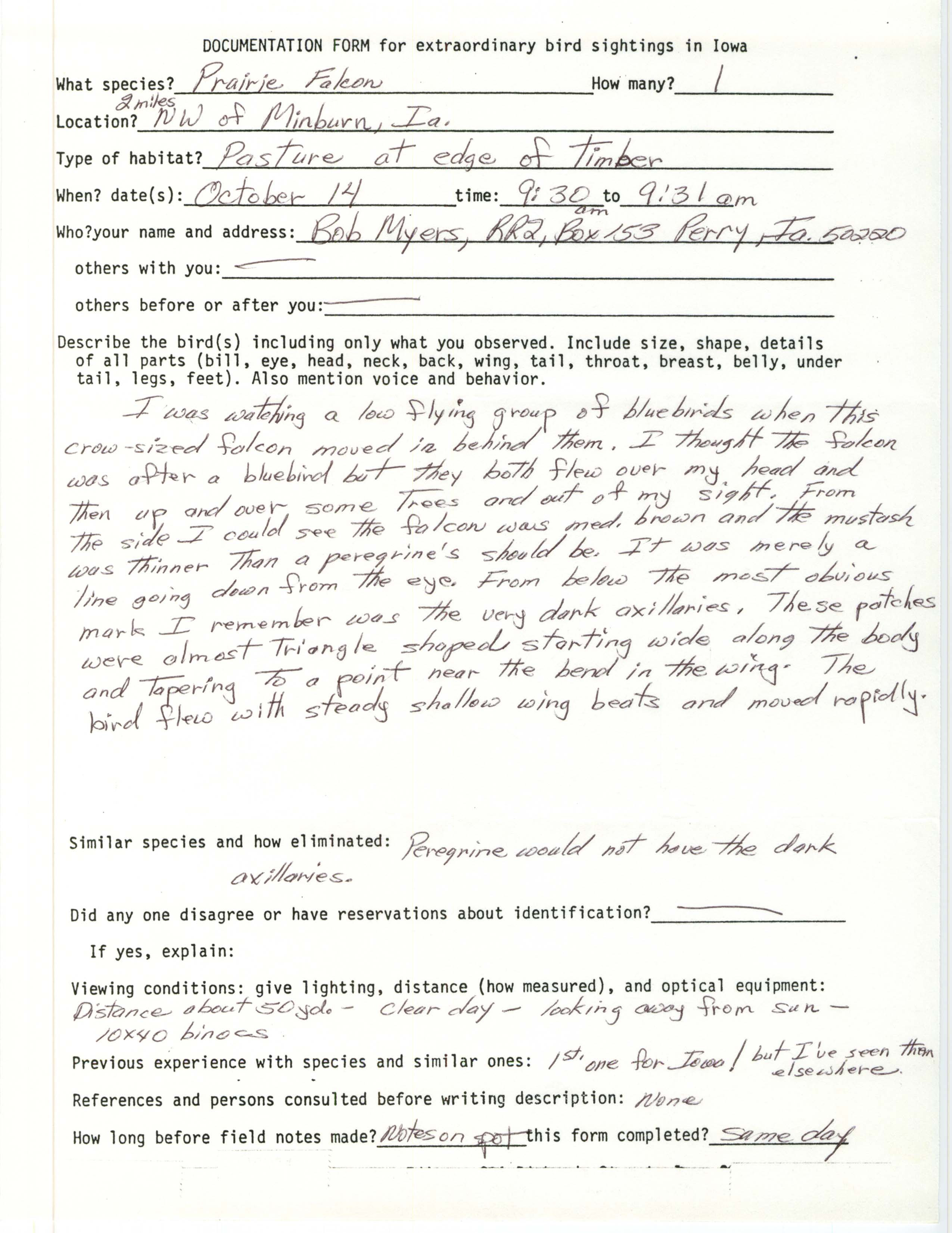 Rare bird documentation form for Prairie Falcon northwest of Minburn, 1989