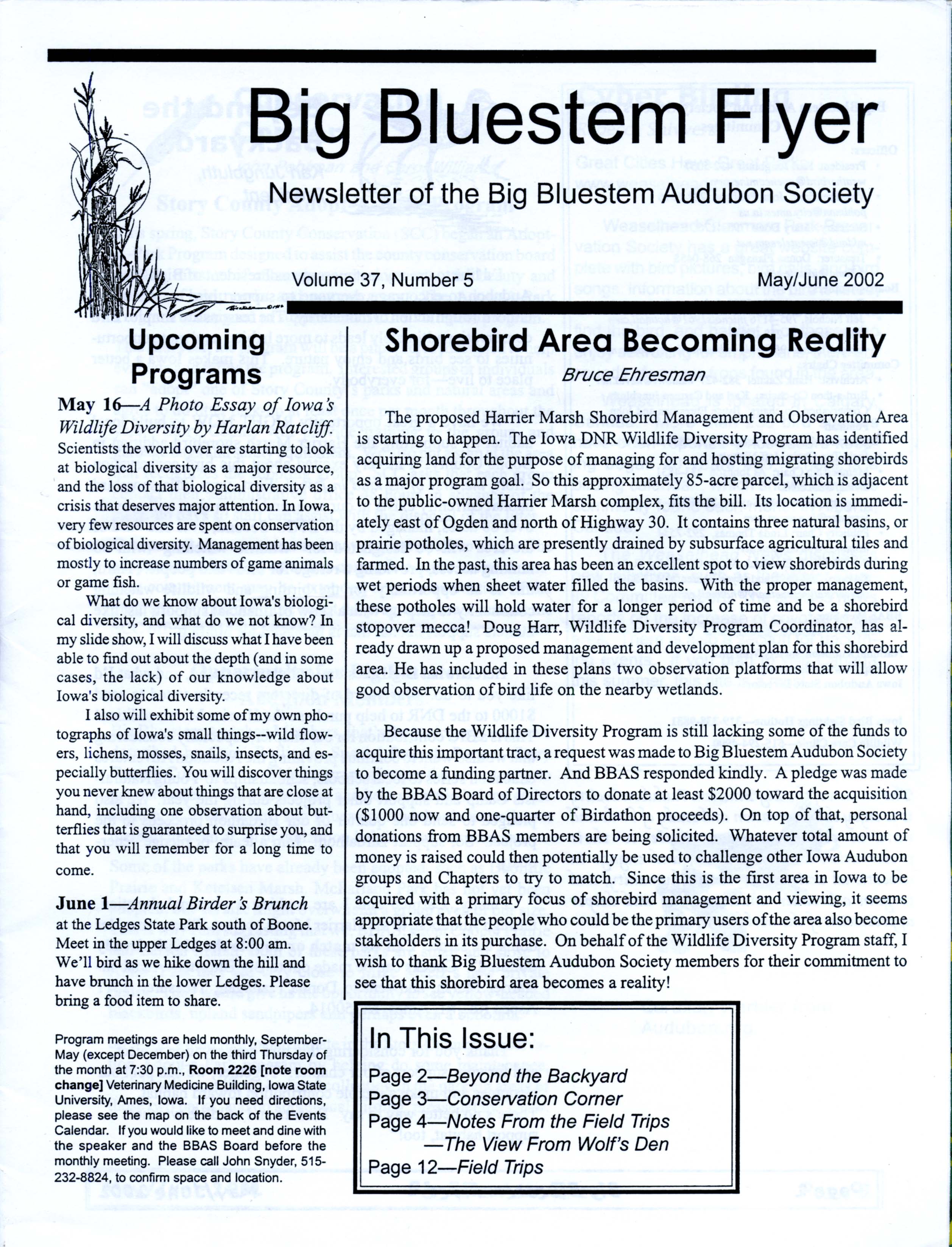 Big Bluestem Flyer, Volume 37, Number 5, May/June 2002