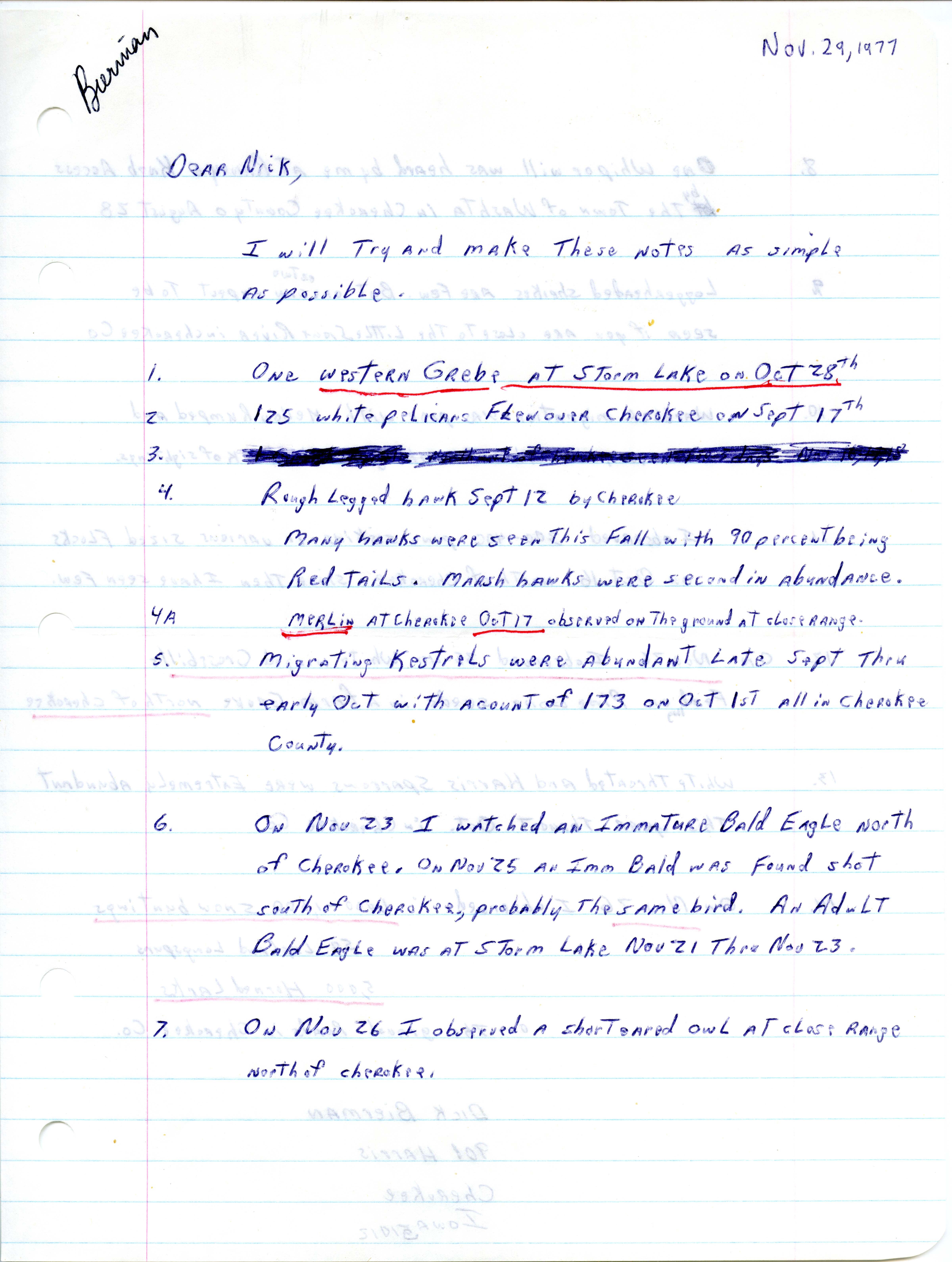 Dick Bierman letter to Nicholas S. Halmi regarding bird sightings, November 29, 1977