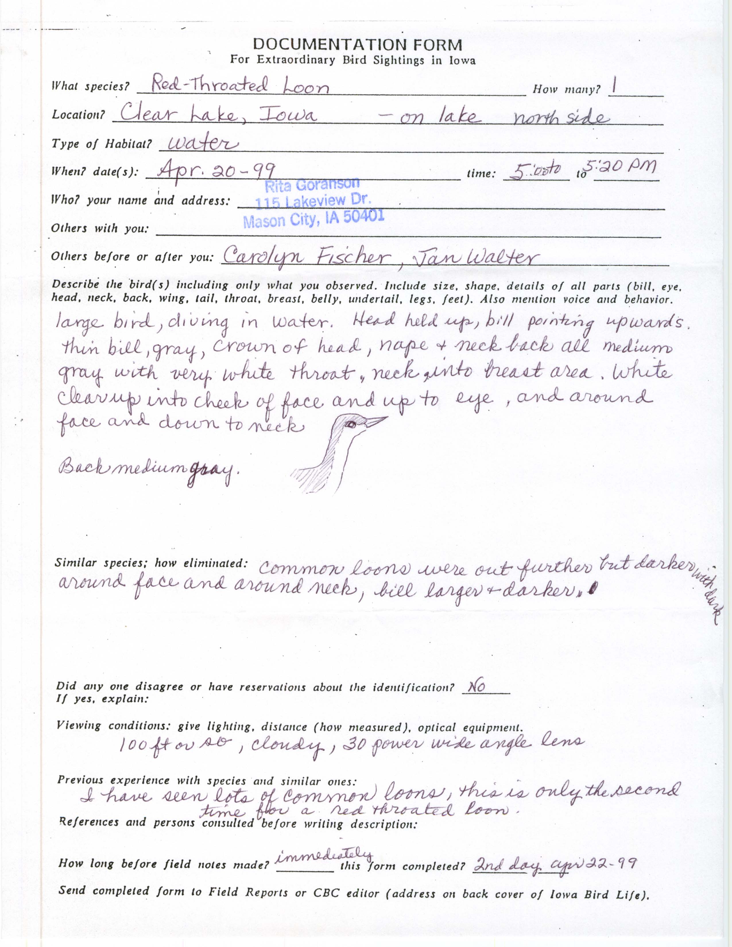 Rare bird documentation form for Red-throated Loon at Clear Lake, 1999