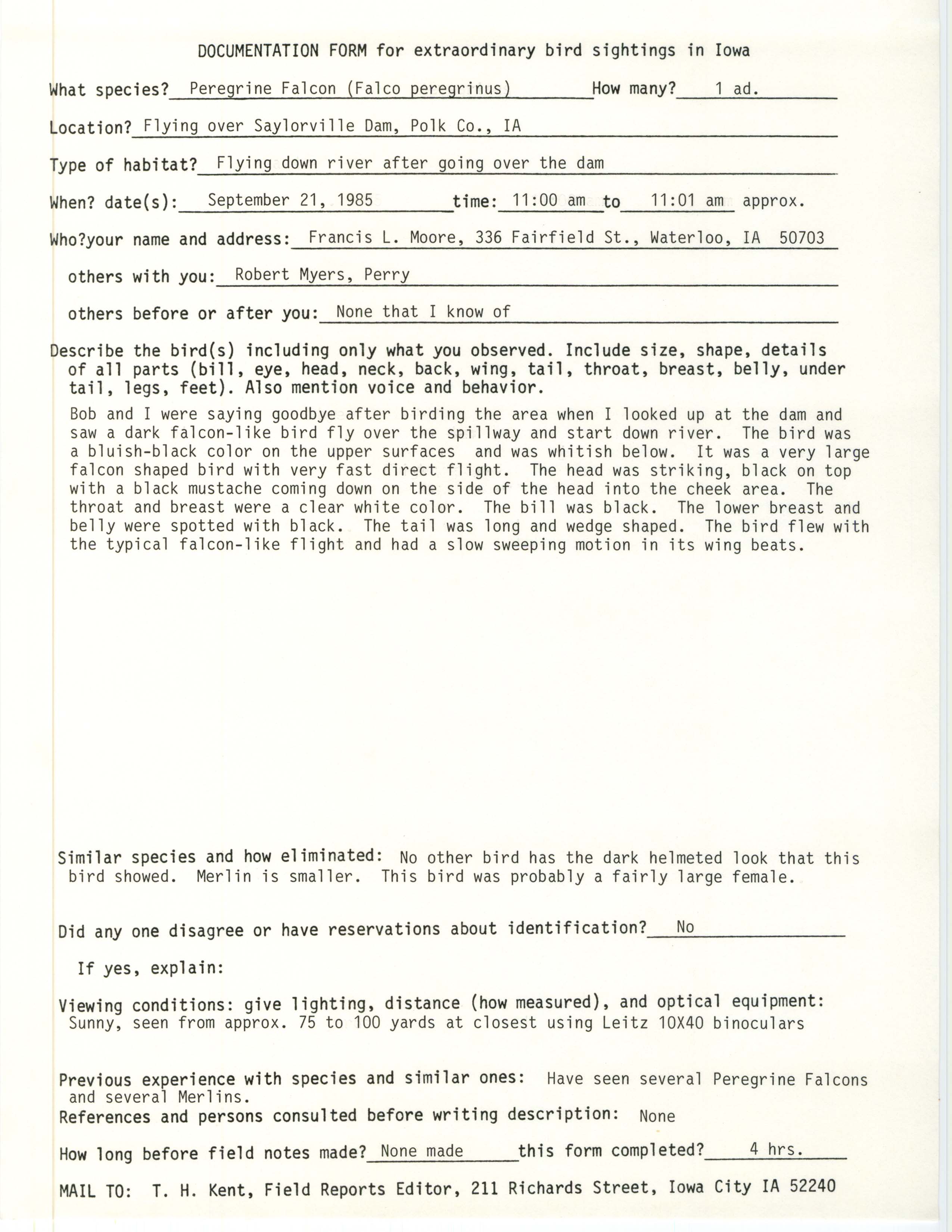 Rare bird documentation form for Peregrine Falcon at Saylorville Dam, 1985