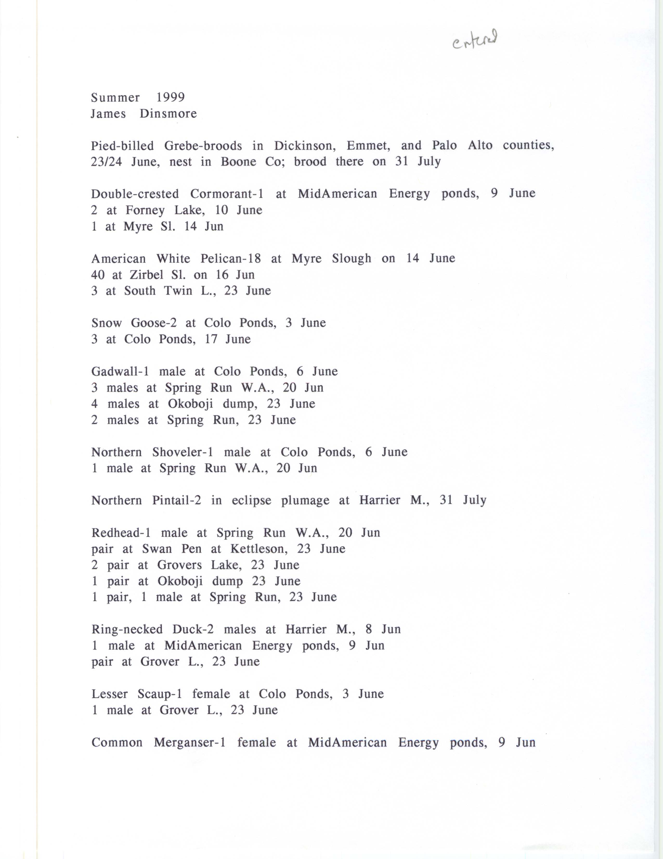 Annotated bird sighting list for summer 1999 compiled by James Dinsmore