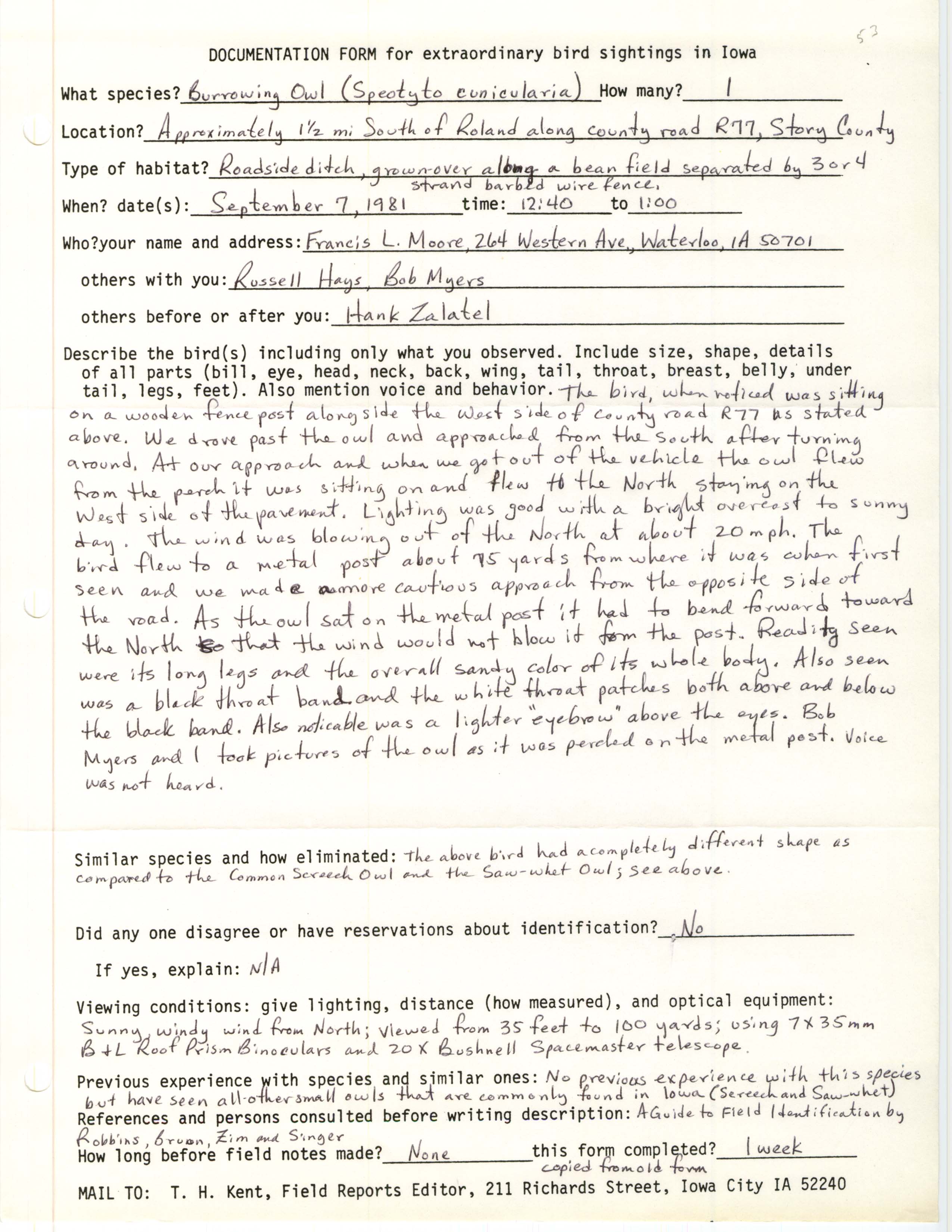 Rare bird documentation form for Burrowing Owl south of Roland, 1981