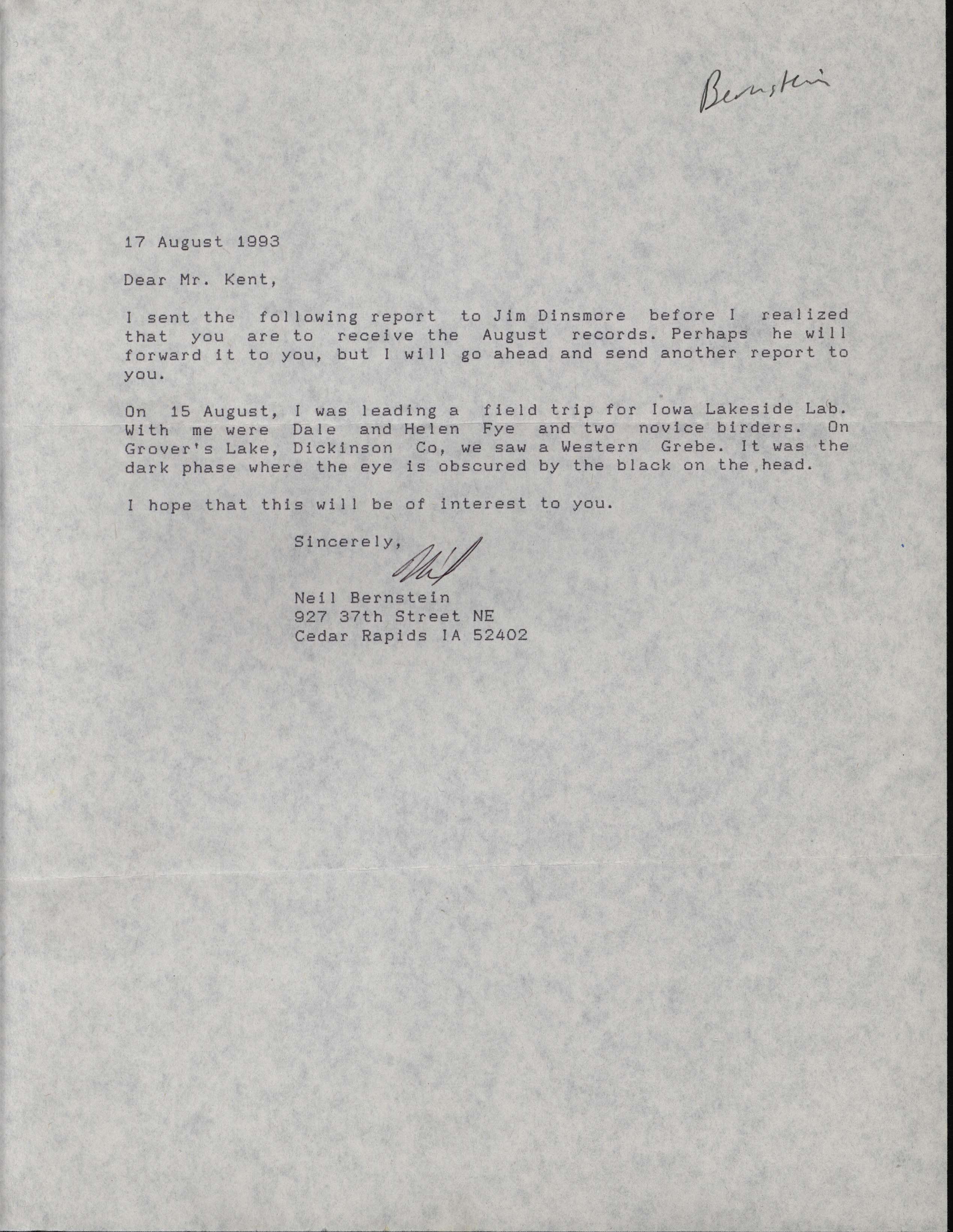 Neil Bernstein letter to Thomas H. Kent regarding a Western Grebe sighting, August 17, 1993