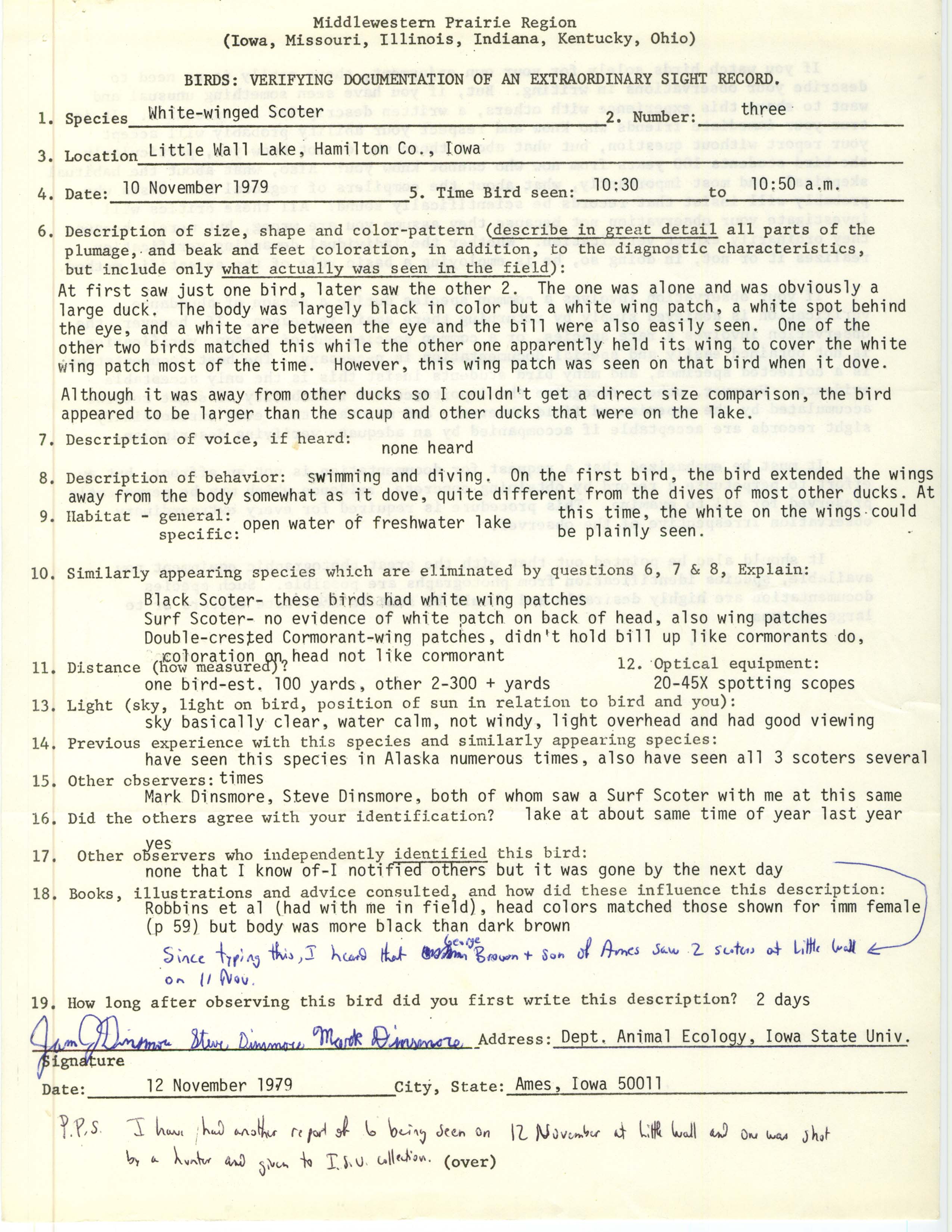 Rare bird documentation form for White-winged Scoter at Little Wall Lake, 1979