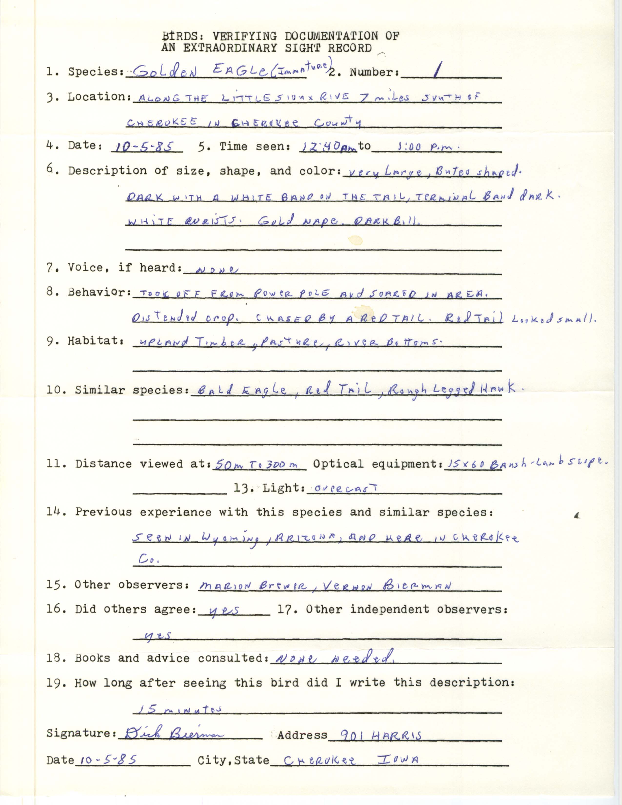 Rare bird documentation form for Golden Eagle on the Little Sioux River south of Cherokee, 1985