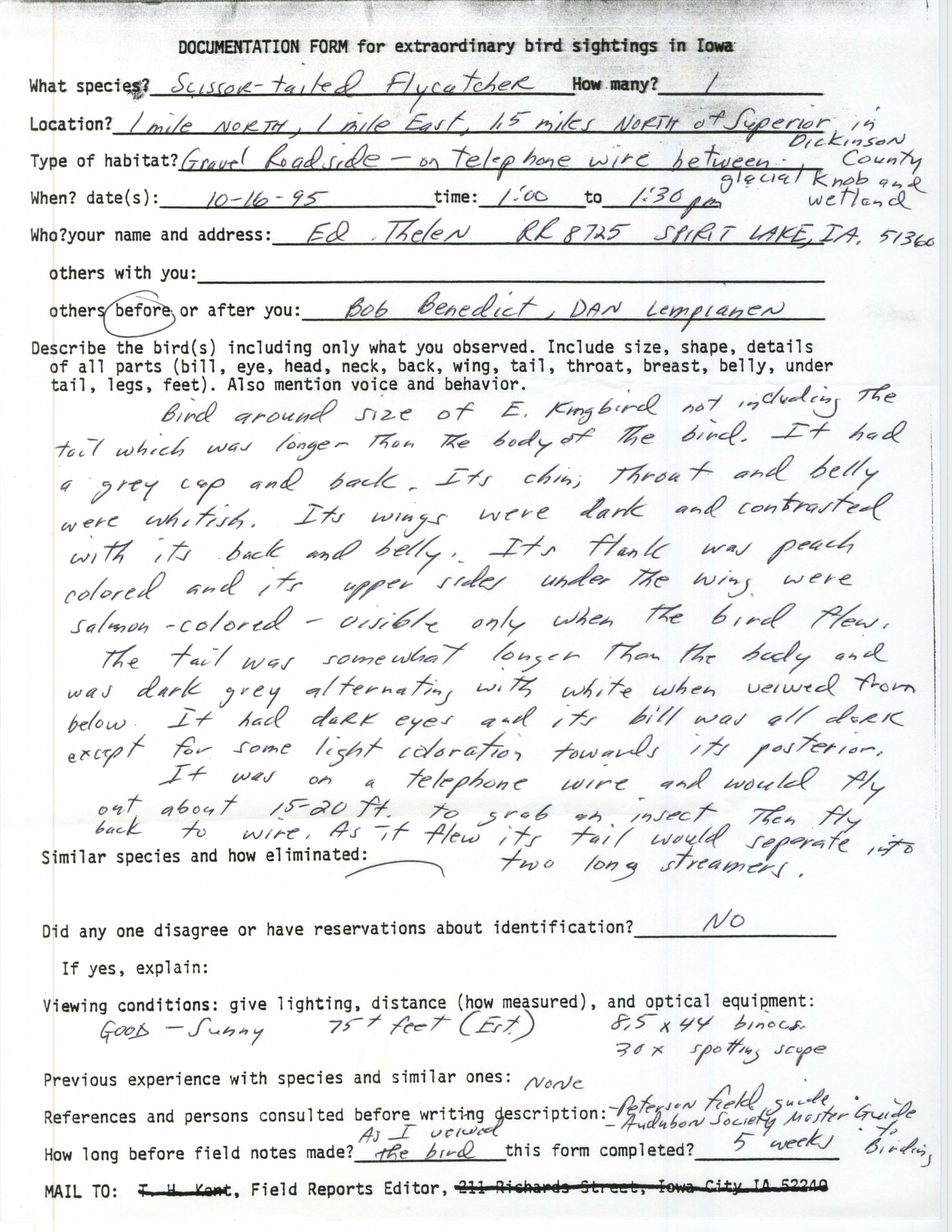 Rare bird documentation form for Scissor-tailed Flycatcher north and east of Superior, 1995