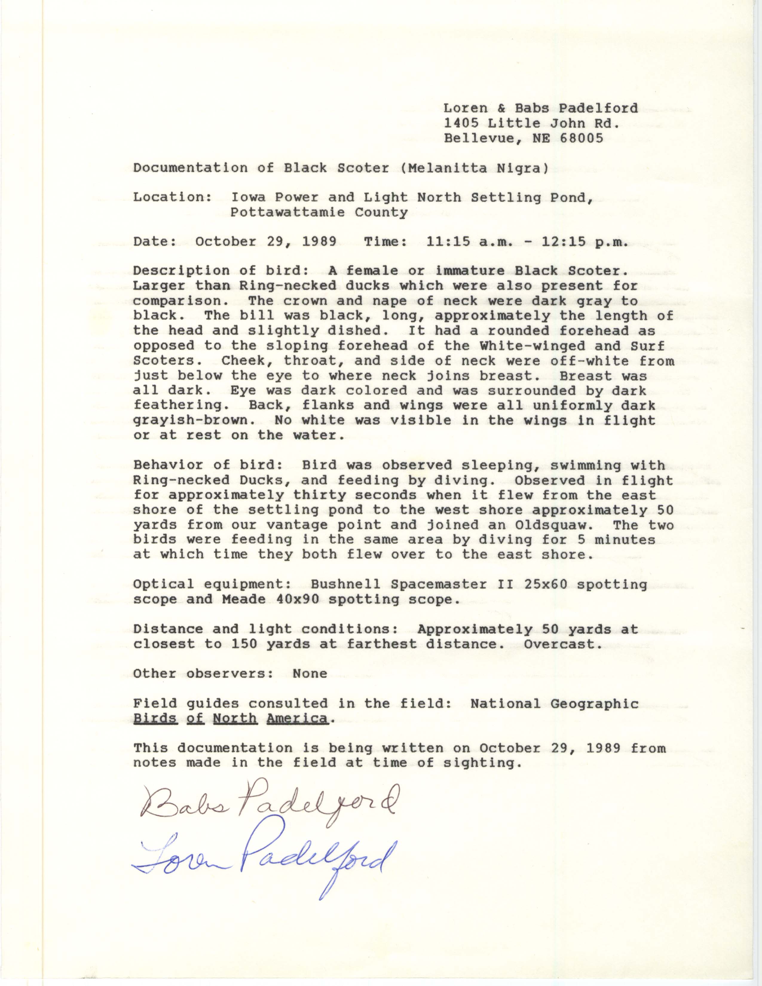 Rare bird documentation form for Black Scoter at MidAmerican Energy Ponds, 1989